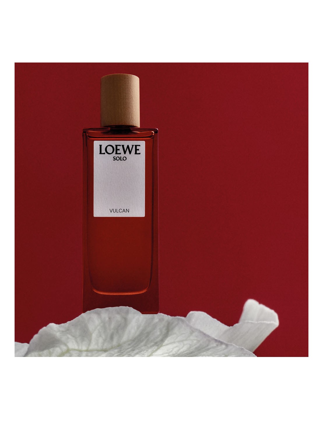 LOEWE Solo Vulcan Eau de Parfum - detail 5 undefined