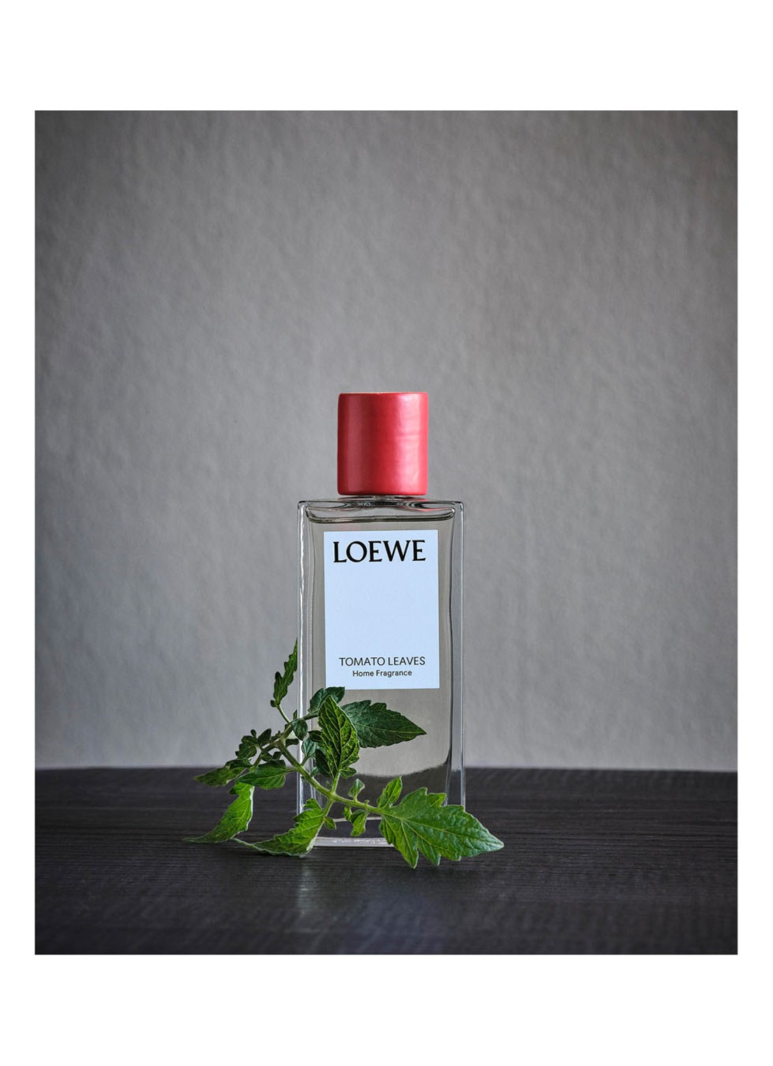LOEWE Tomato Leaves Room Spray - huisparfum 150 ml - detail 7 undefined