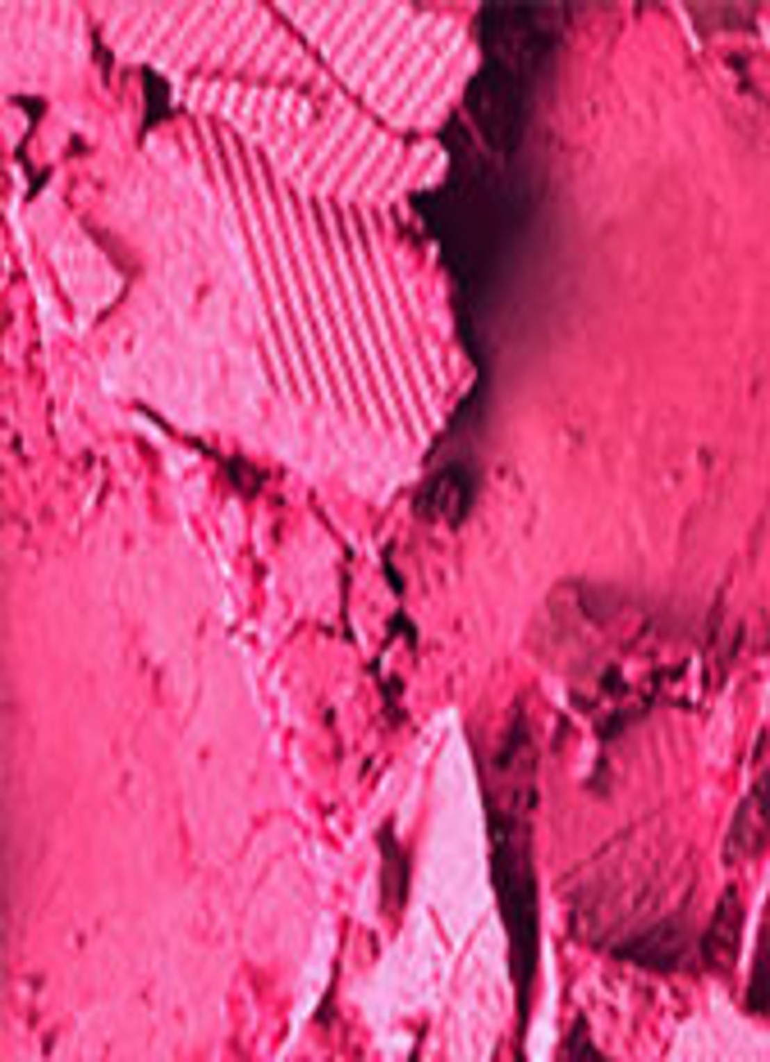M·A·C Powder Blush - detail 2 full fuchsia