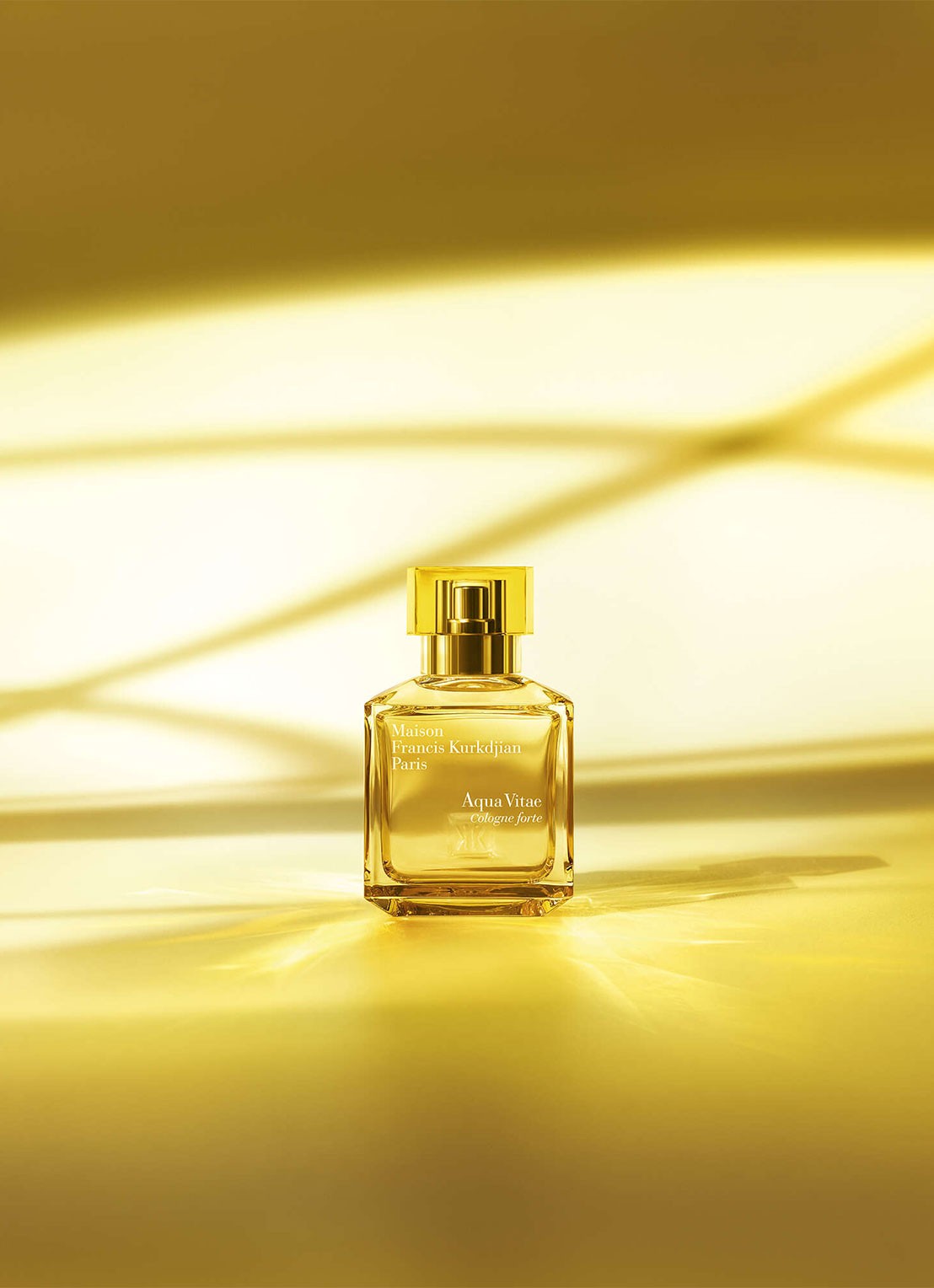 Maison Francis Kurkdjian Aqua Vitae Cologne forte Eau de Parfum - detail 7 undefined