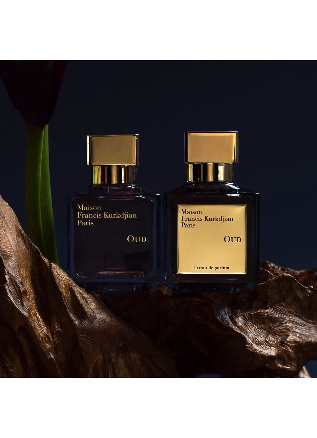 Maison Francis Kurkdjian Oud Eau de Parfum - detail 5 undefined