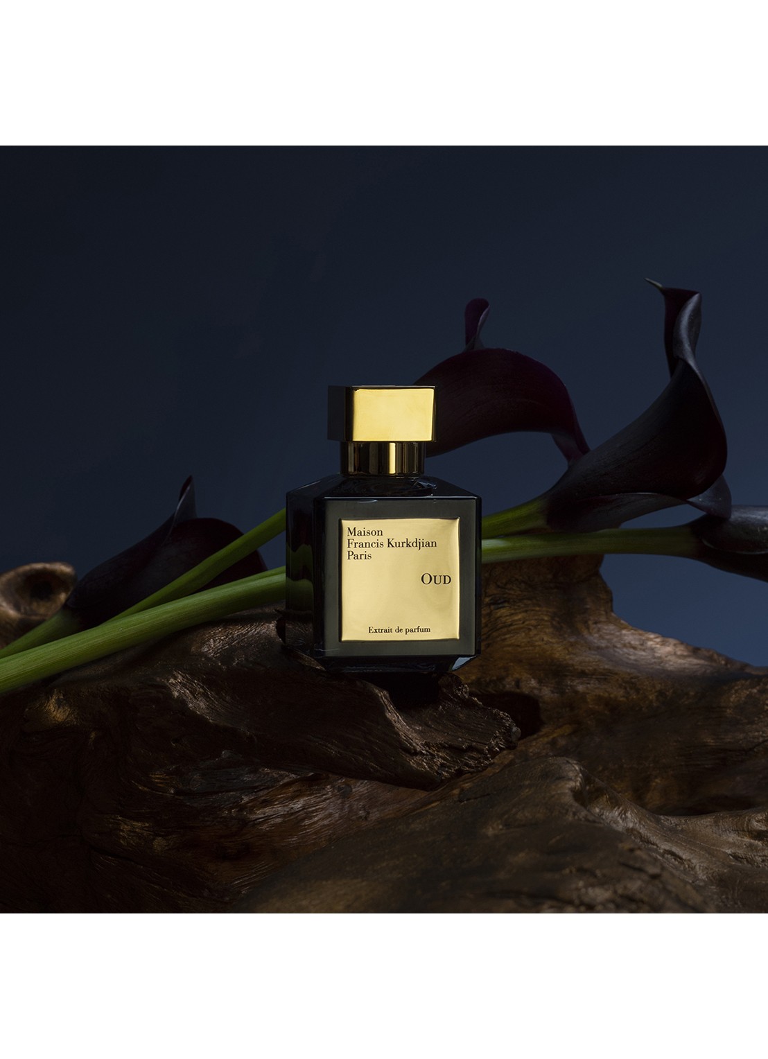 Maison Francis Kurkdjian Oud Extrait de Parfum - detail 2 undefined