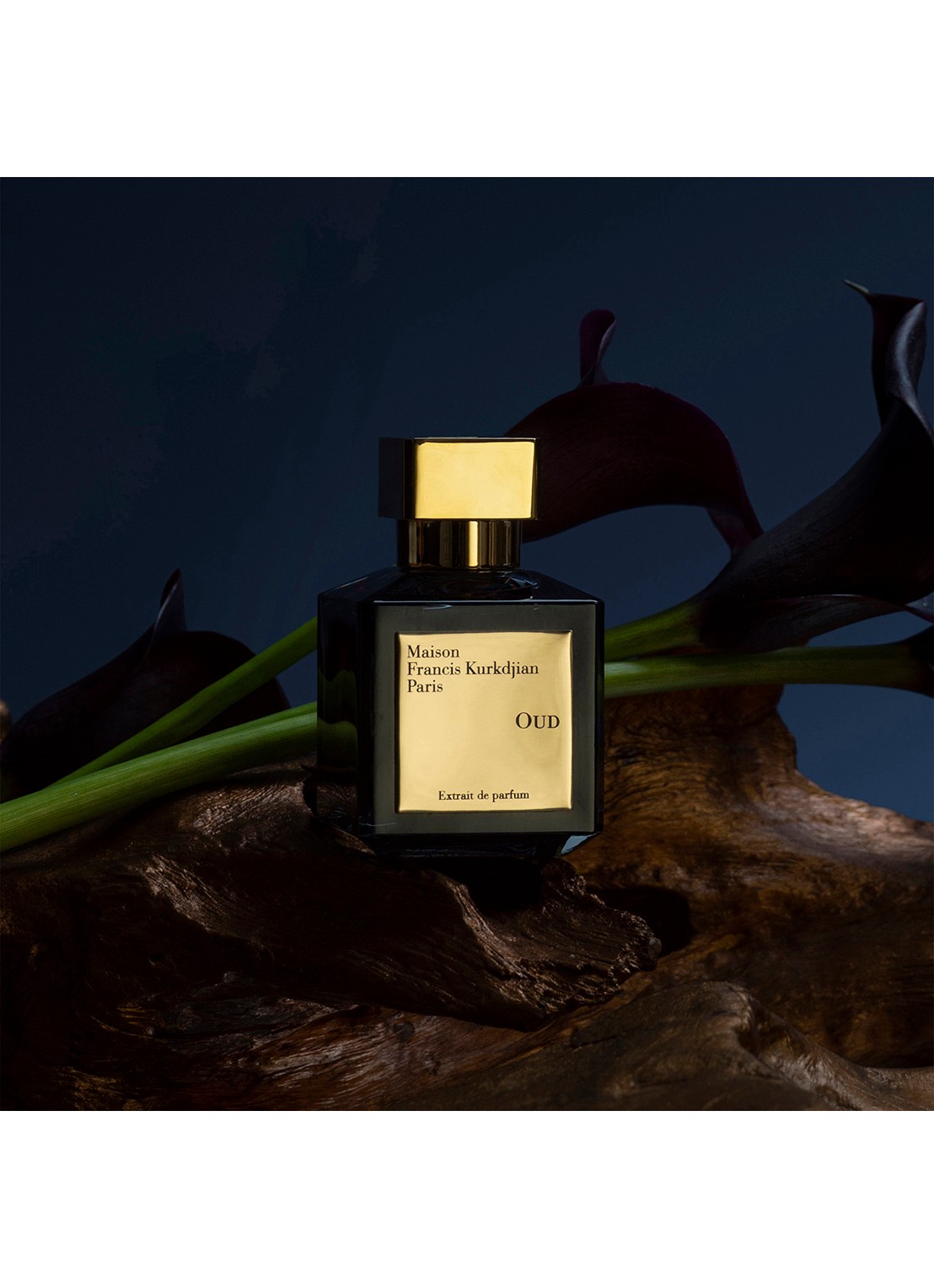 Maison Francis Kurkdjian Oud Silk Mood Extrait de Parfum  - detail 4 undefined