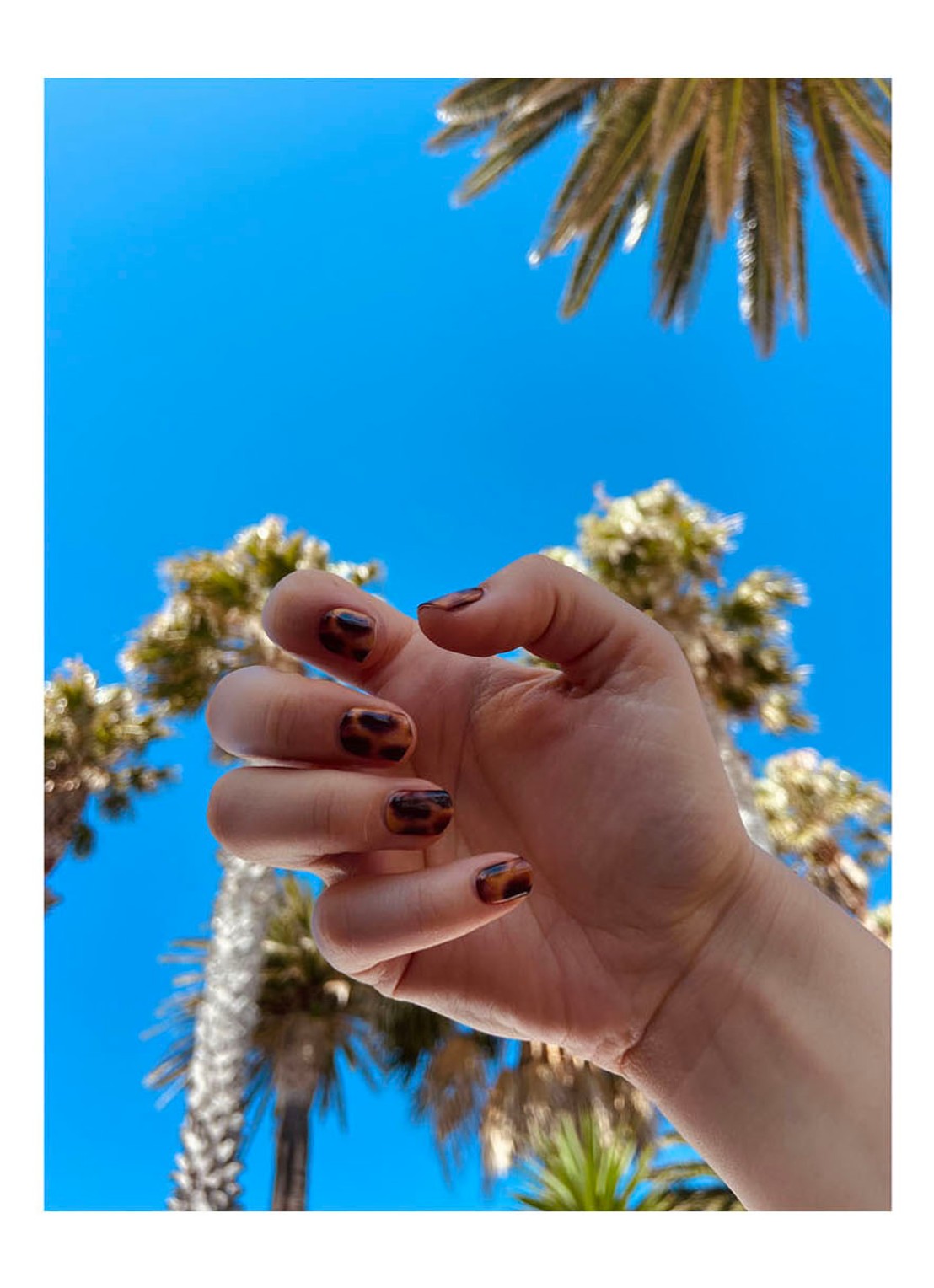 Maniac Nails Gellak Stickers Turtle - voorkant 2 turtle