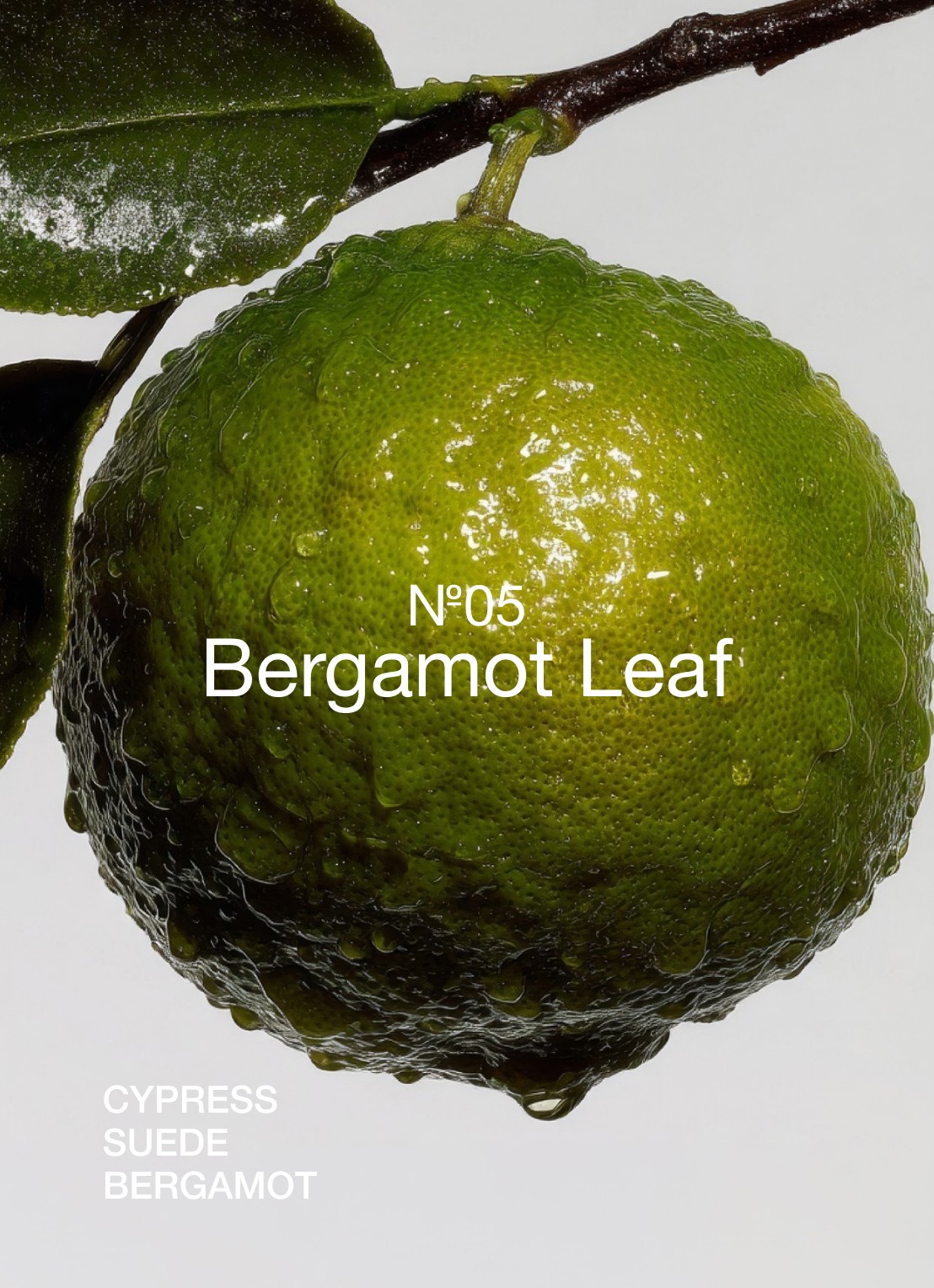 Marie-Stella-Maris No.05 Bergamot Leaf geurstokjes 250 ml - achterkant 4 transparant