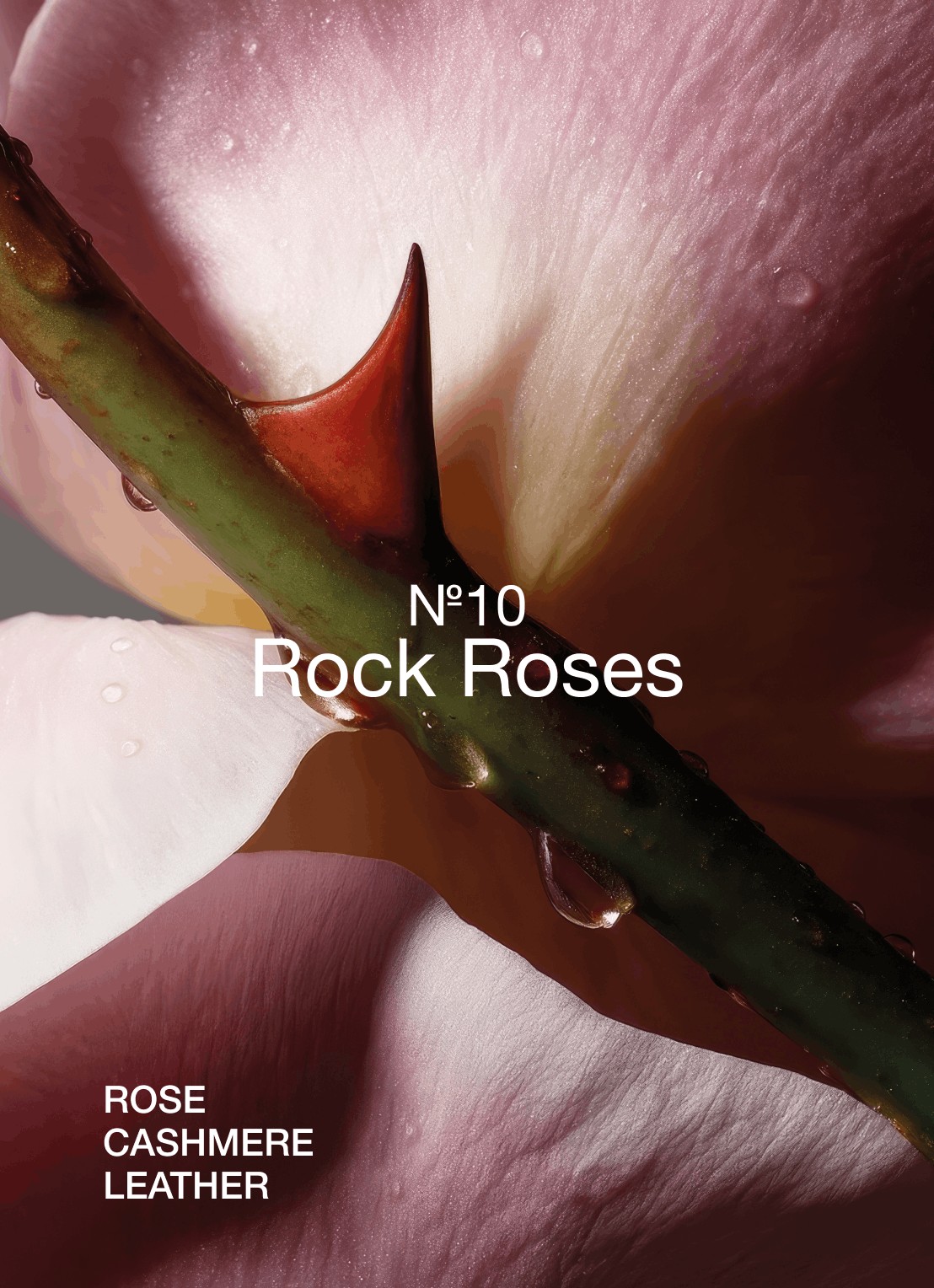 Marie-Stella-Maris No.10 Rock Roses bodyscrub 75 ml - achterkant 4 wit