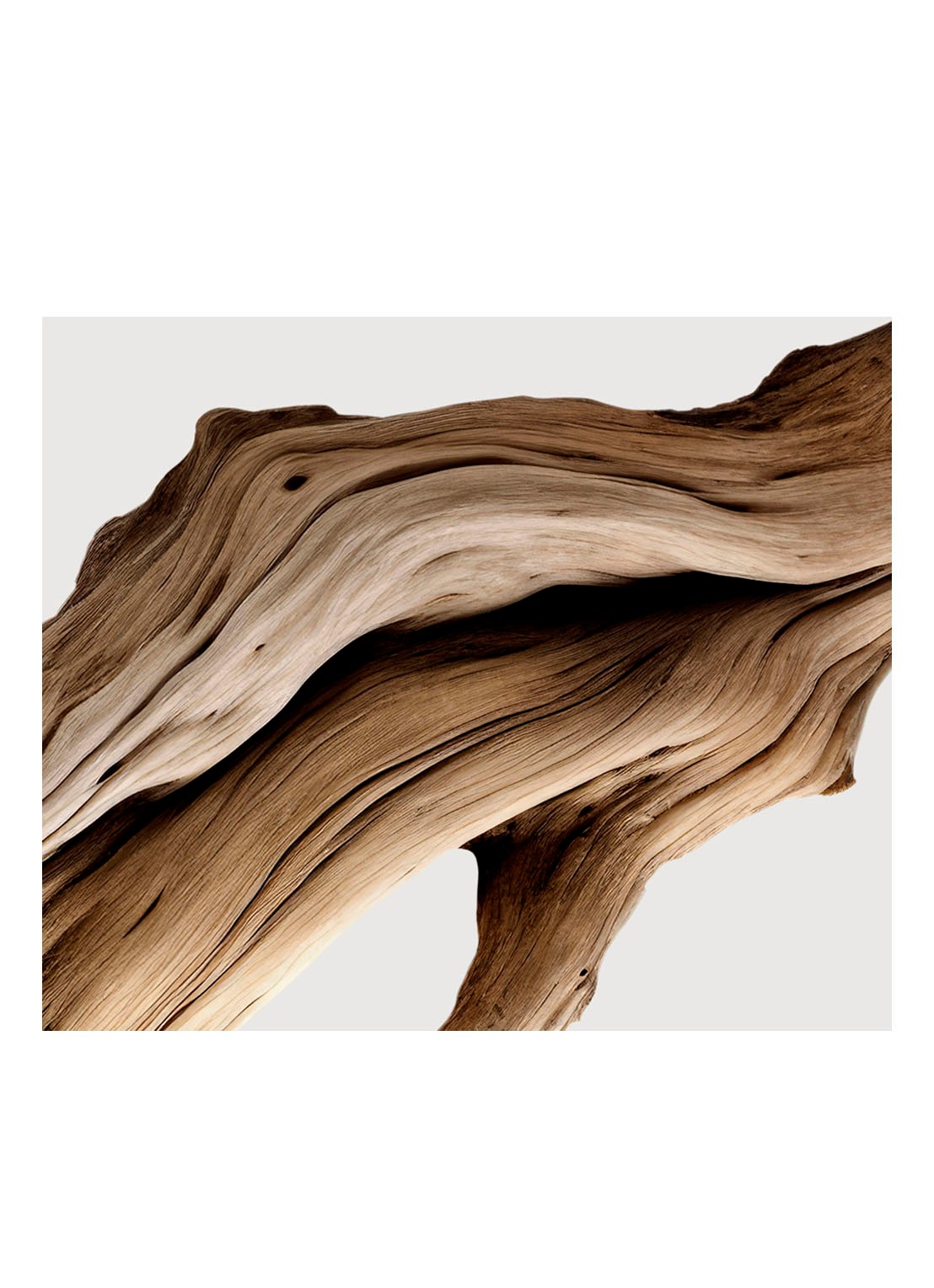 Matiere Premiere Santal Austral Extrait de Parfum - detail 5 undefined