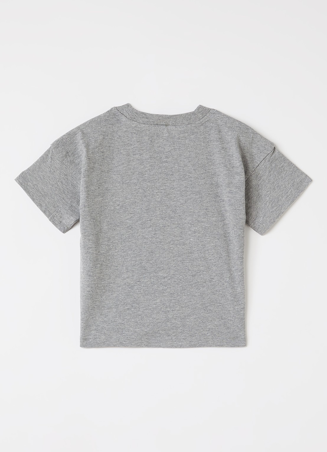 Mini Rodini T-shirt met borduring - voorkant 2 grijsmele