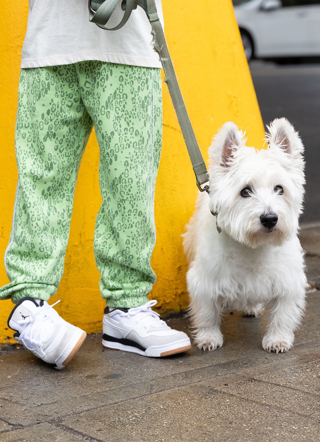 Mini Rodini Tapered fit joggingbroek met panterprint - voorkant 3 groen