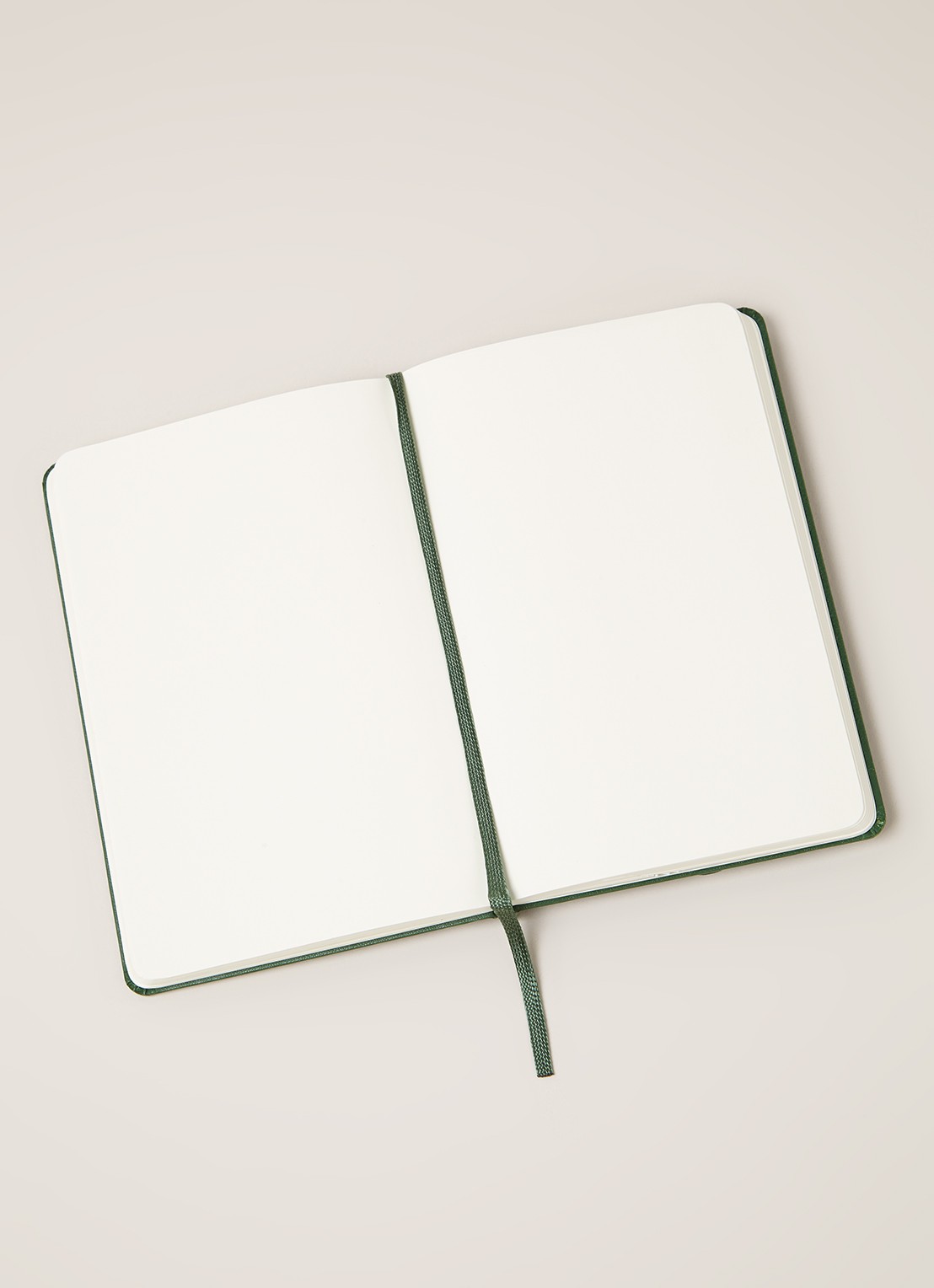 Moleskine Classic blanco notitieboek 14 x 9 cm - detail groen