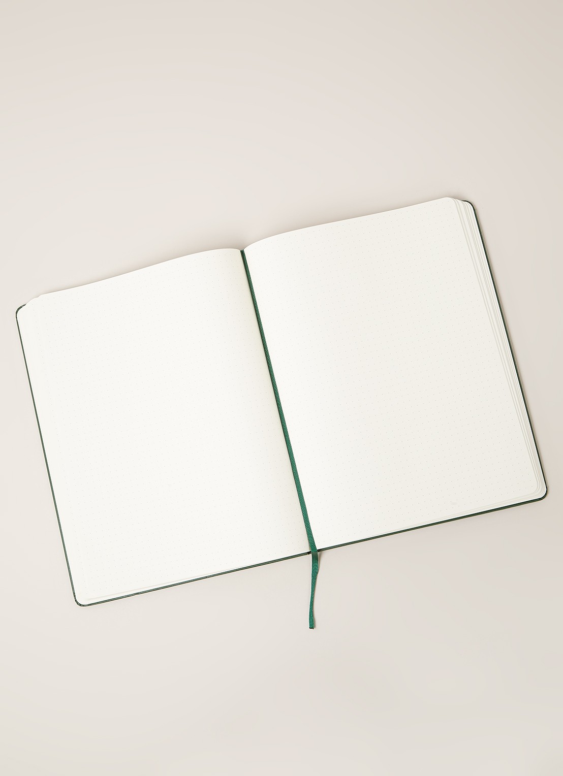 Moleskine Dotted Hard Cover XL notitieboek - detail groen
