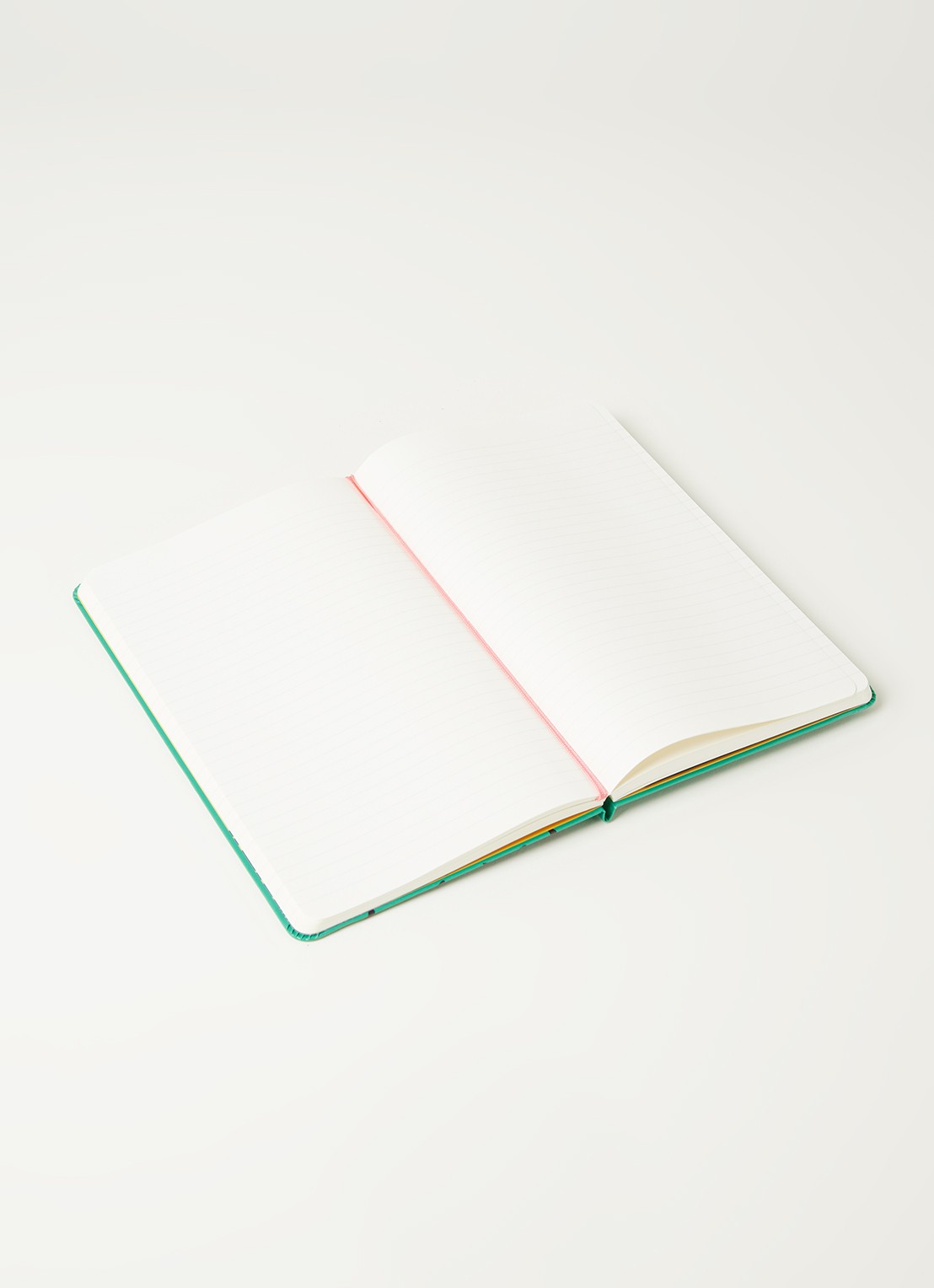 Moleskine Limited Edition Frida Kahlo L gelinieerd notitieboek - detail 3 groen