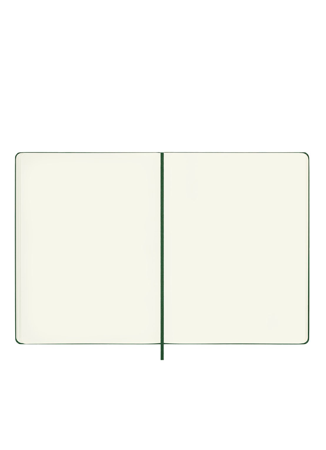 Moleskine Notitieboek blanco papier 25 x 19 cm  - voorkant 2 groen