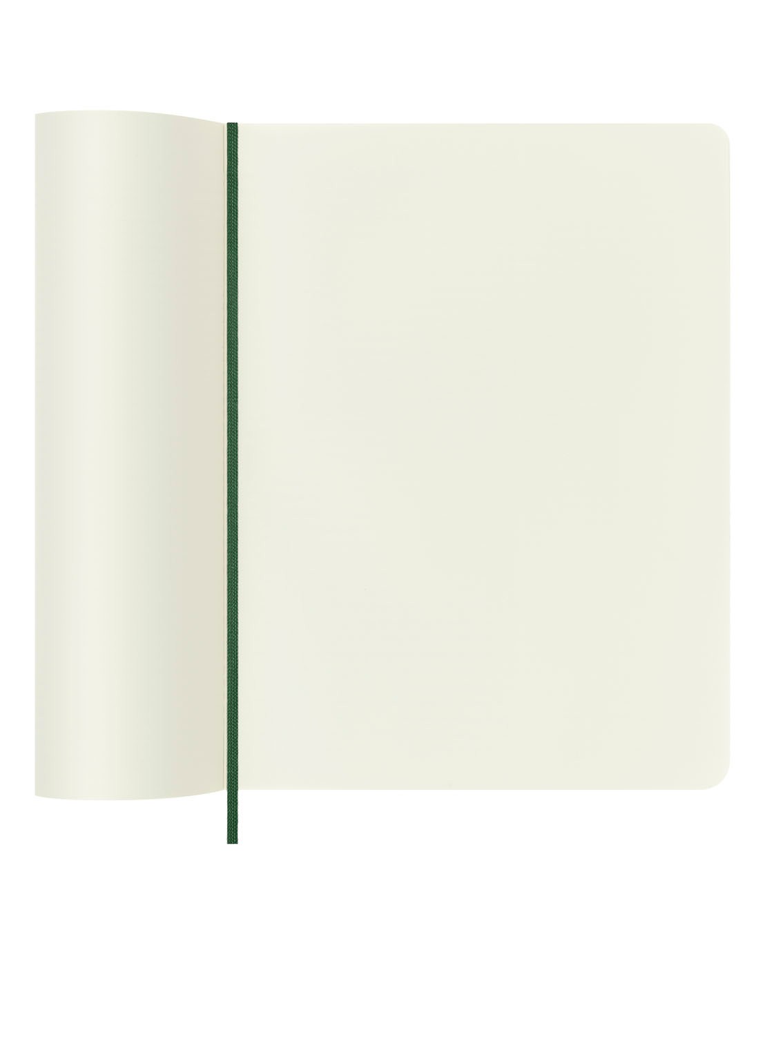 Moleskine Notitieboek met blanco papier 25 x 19 cm - voorkant 2 groen