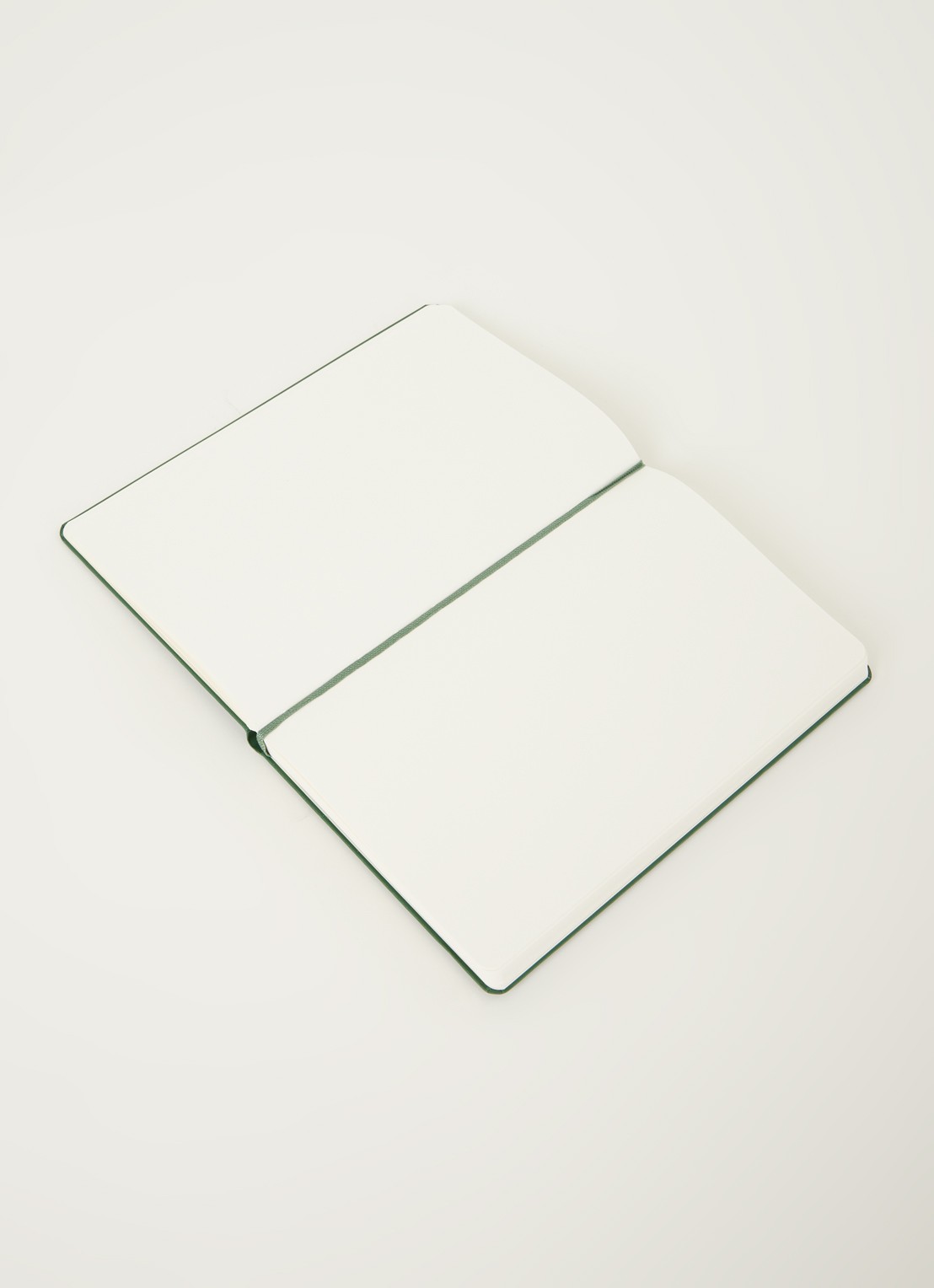 Moleskine Notitieboek Moleskine Large Bl - detail 2 groen