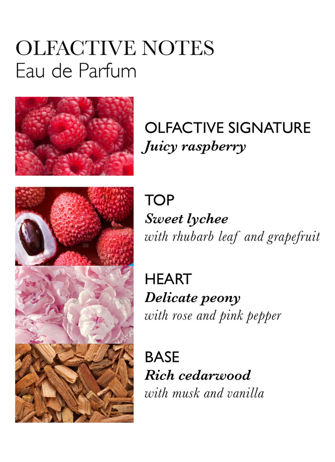 Molton Brown Delicious Rhubarb & Rose Eau de Parfum - detail 7 undefined