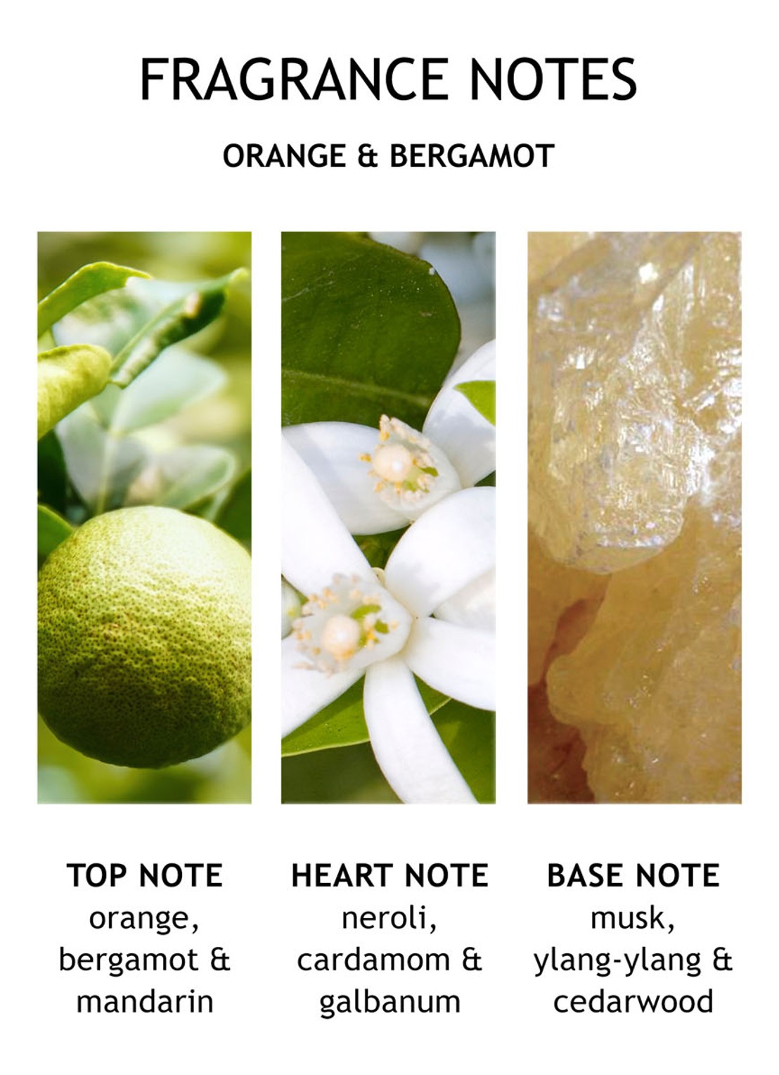 Molton Brown Orange & Bergamot Bodylotion - detail 4 undefined