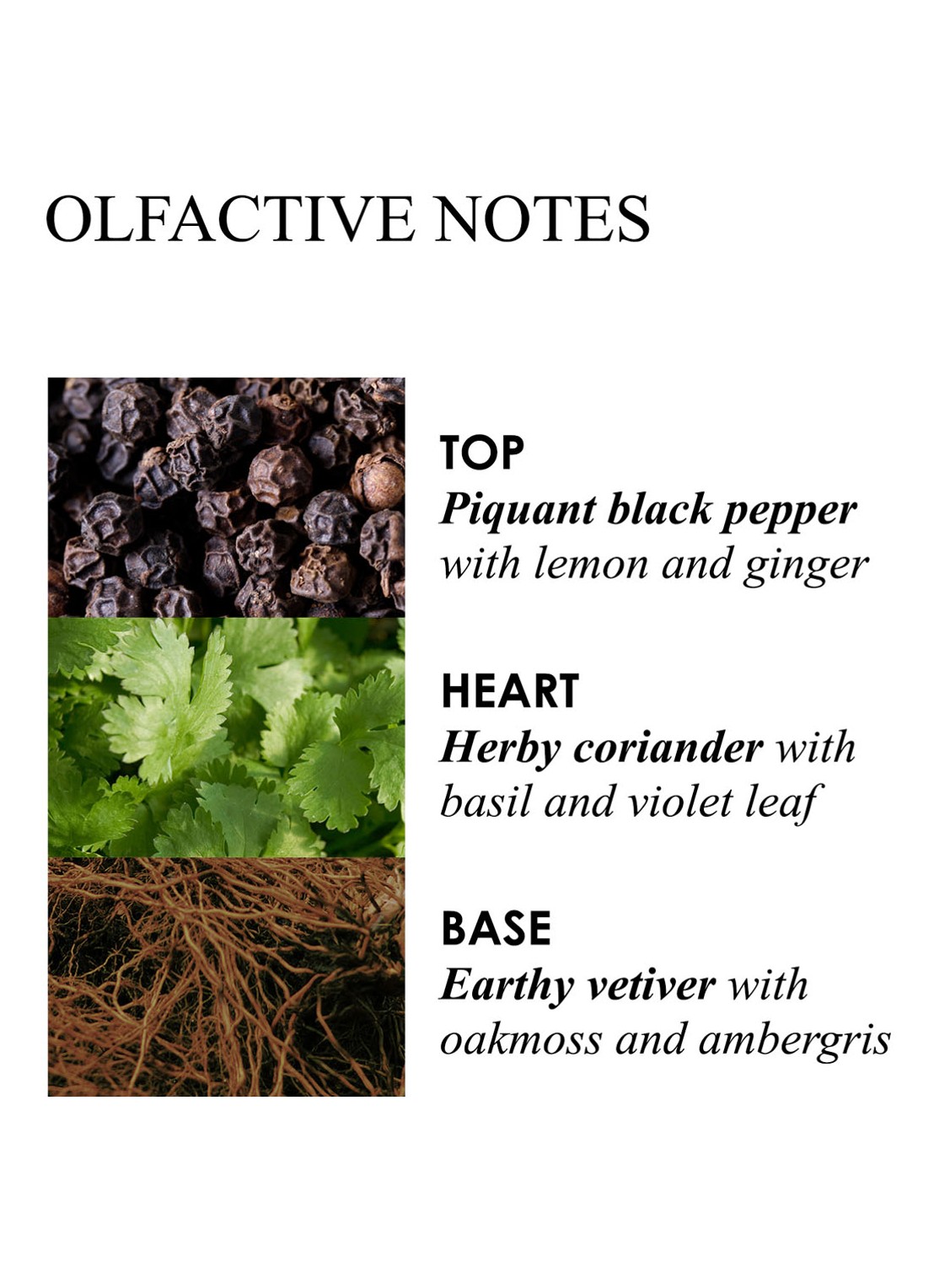 Molton Brown Re-Charge Black Pepper Signature Scented Candle - geurkaars - detail 6 undefined