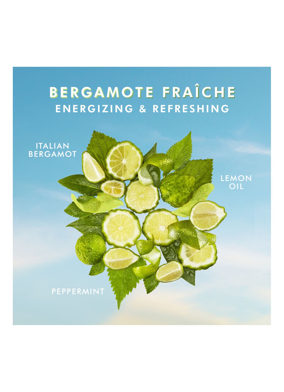 Moroccanoil Body Bergamot Fraiche - bodylotion - detail 6 undefined