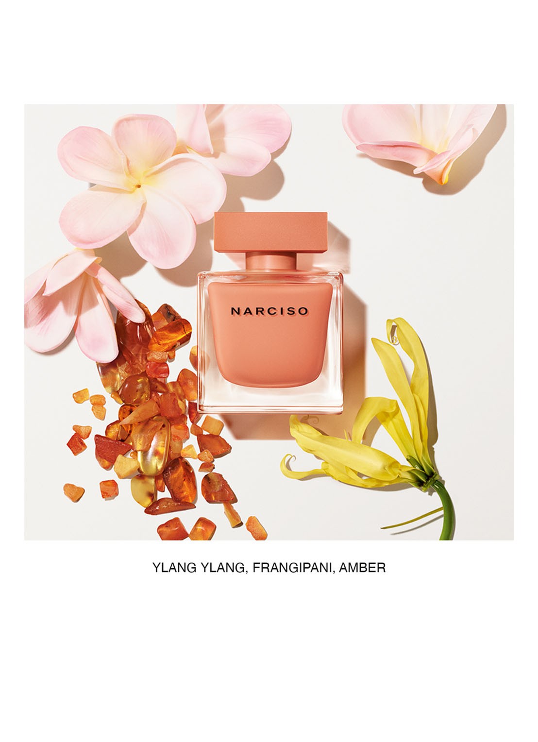 Narciso Rodriguez Ambrée Eau de Parfum - voorkant 3 undefined