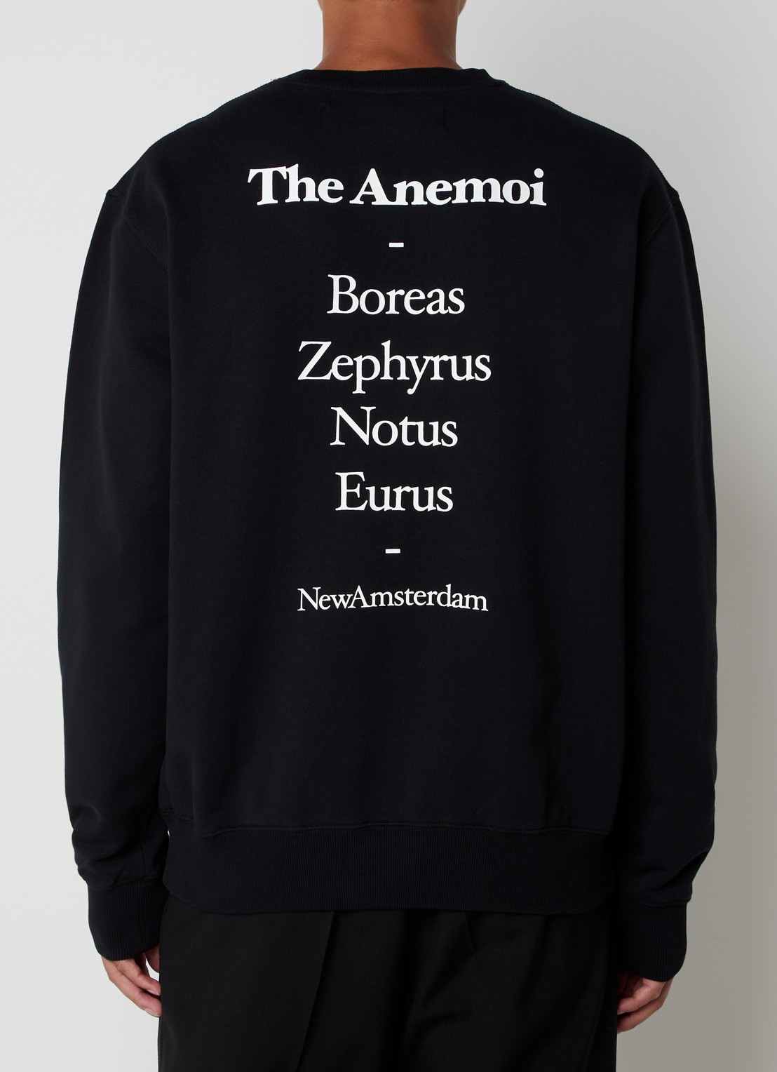 New Amsterdam Surf Association Anemoi sweater met logo- en backprint - achterkant 4 zwart
