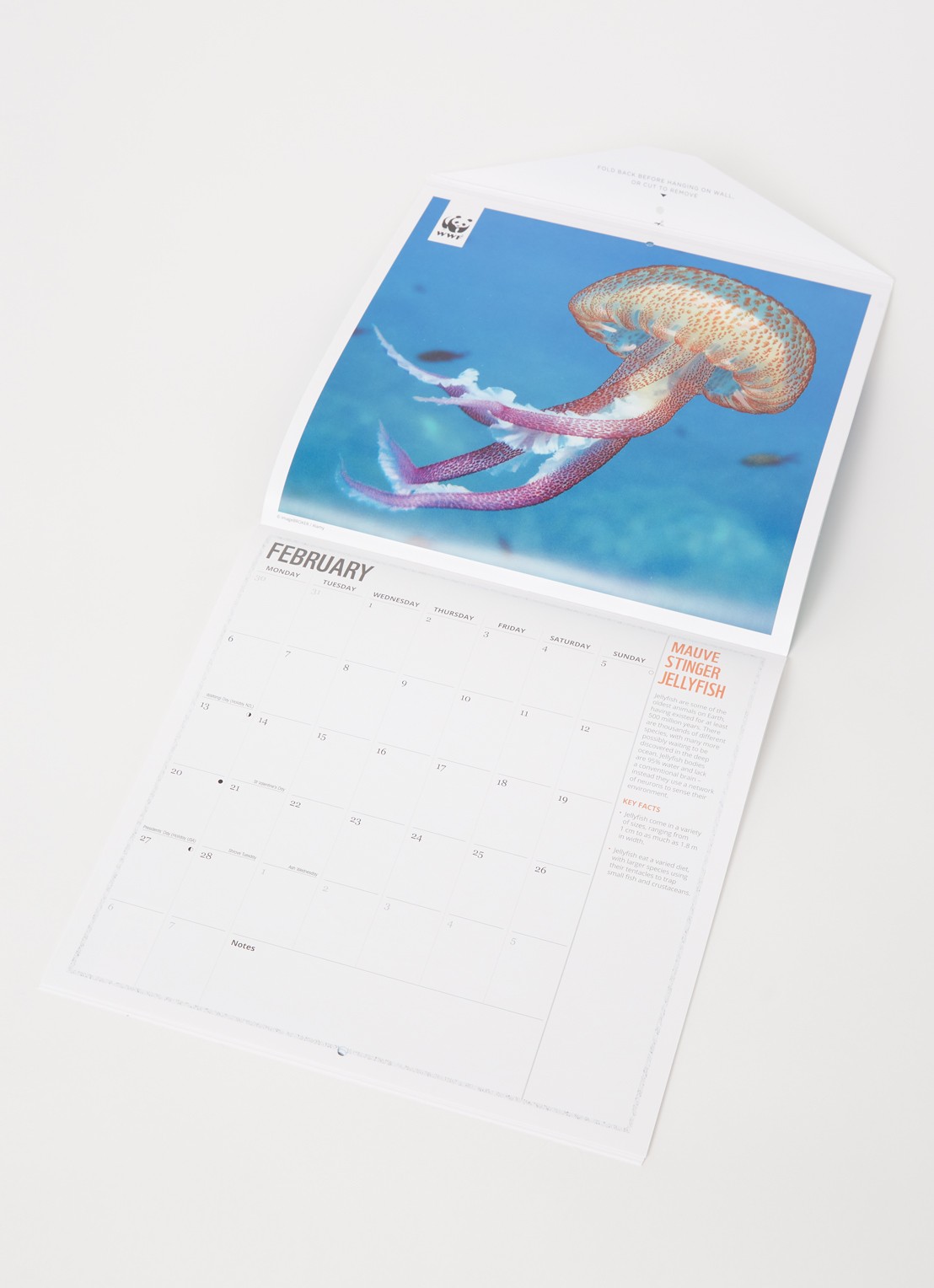  Oceans wwf kalender 2023 - voorkant 2 zeegroen