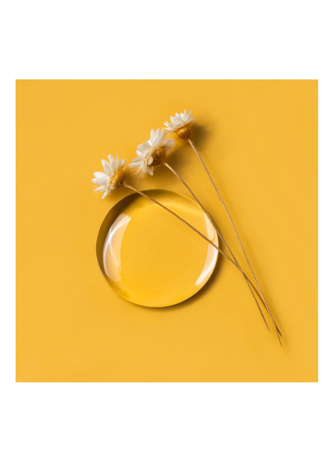 Olaplex No. 7 Bonding Oil - styling olie - detail 8 undefined