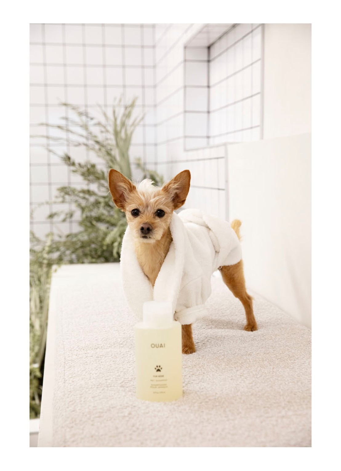 OUAI Fur Bébé Pet Shampoo - huisdieren shampoo - detail 4 undefined