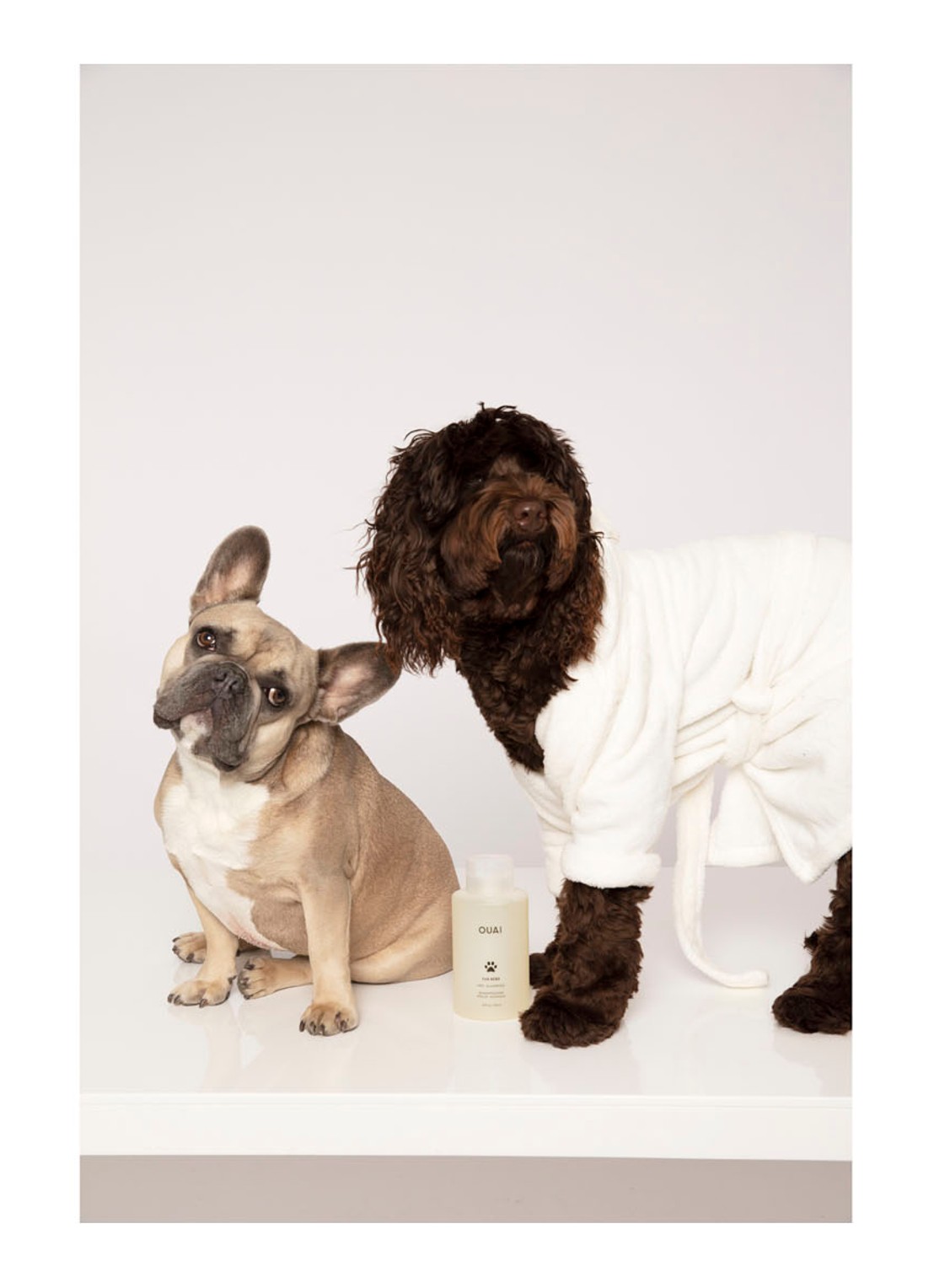 OUAI Fur Bébé Pet Shampoo - huisdieren shampoo - detail 5 undefined
