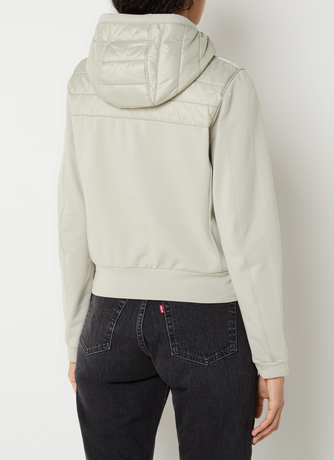 Parajumpers Caelie gewatteerd jack met capuchon - achterkant groen