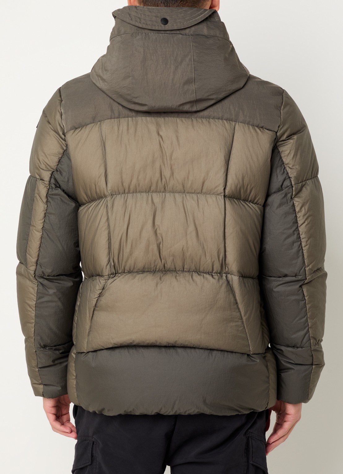 Parajumpers Sento puffer jack met capuchon - achterkant 2 olijfgroen