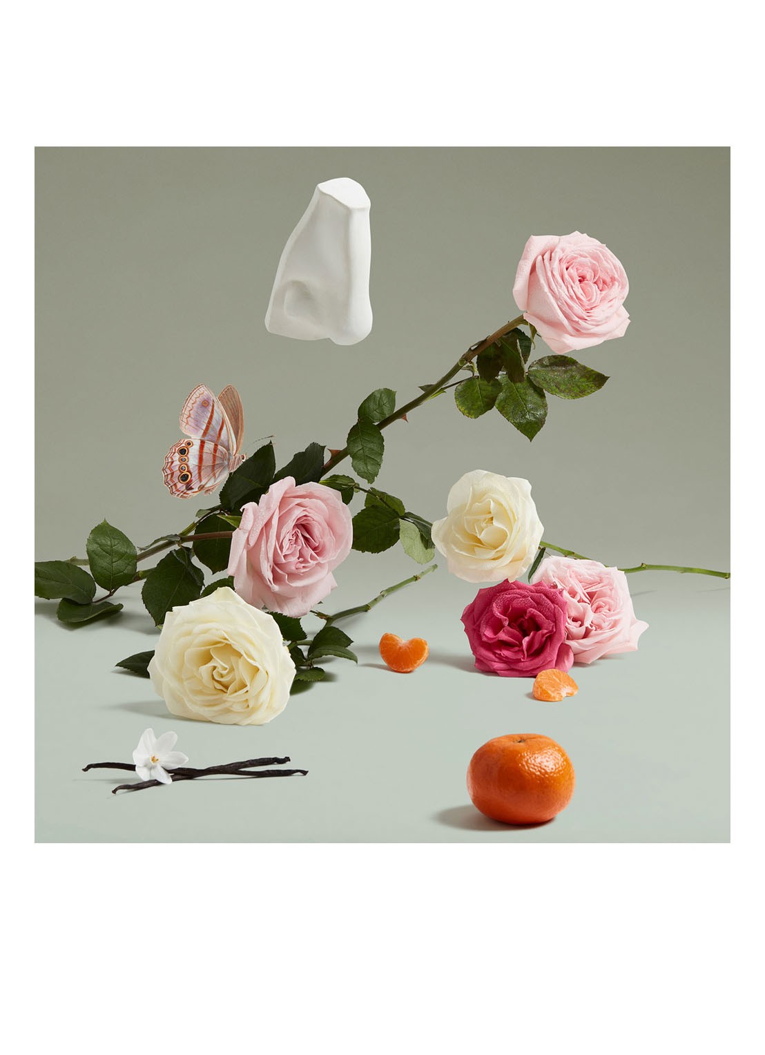 Penhaligon's The Coveted Duchess Rose Eau de Parfum - detail 4 undefined