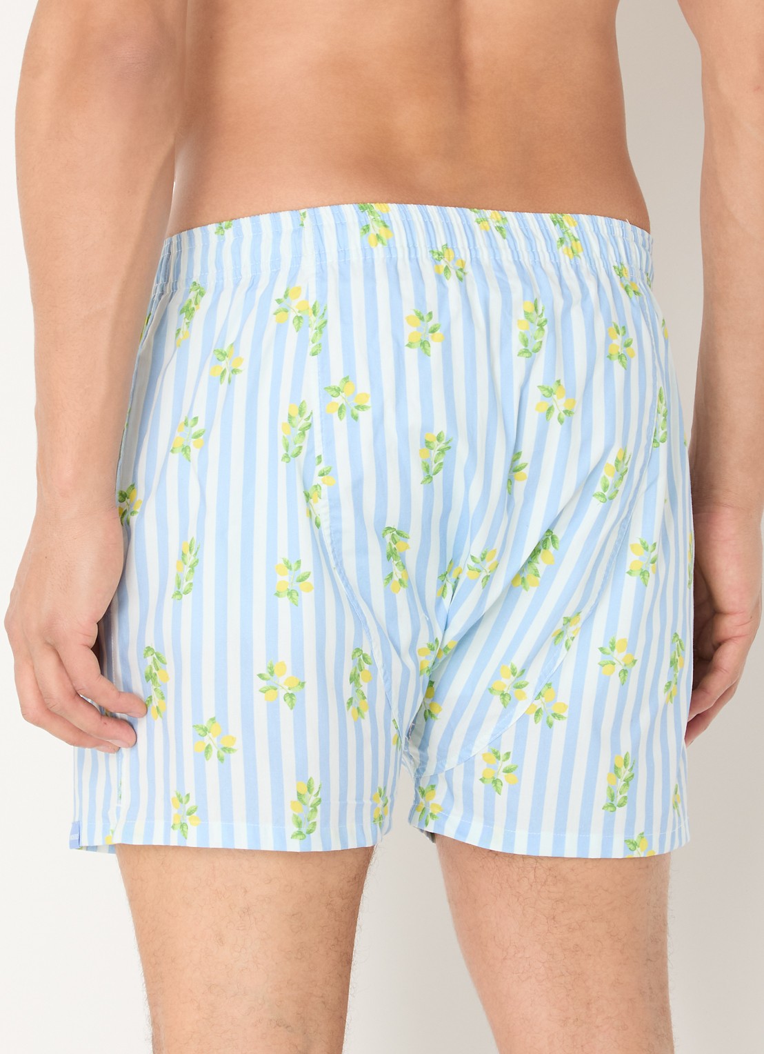 Pockies Goodlife boxershort met steekzakken en streepprint - achterkant lichtblauw