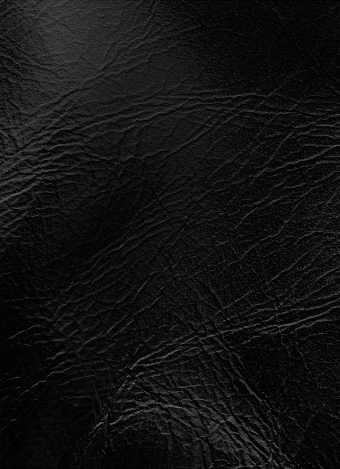 Prada Crossbodytas van kalfsleer - detail 3 zwart