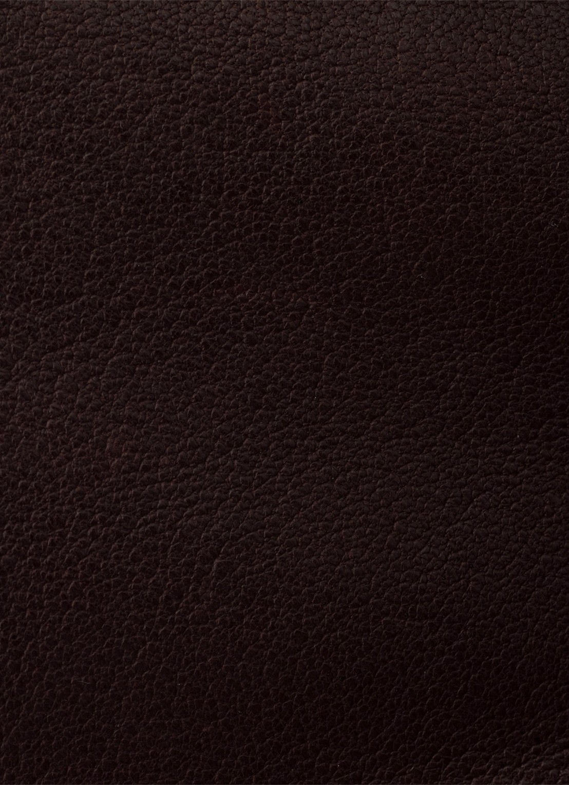 Prada Explore Medium schoudertas van lamsleer - detail 6 donkerbruin