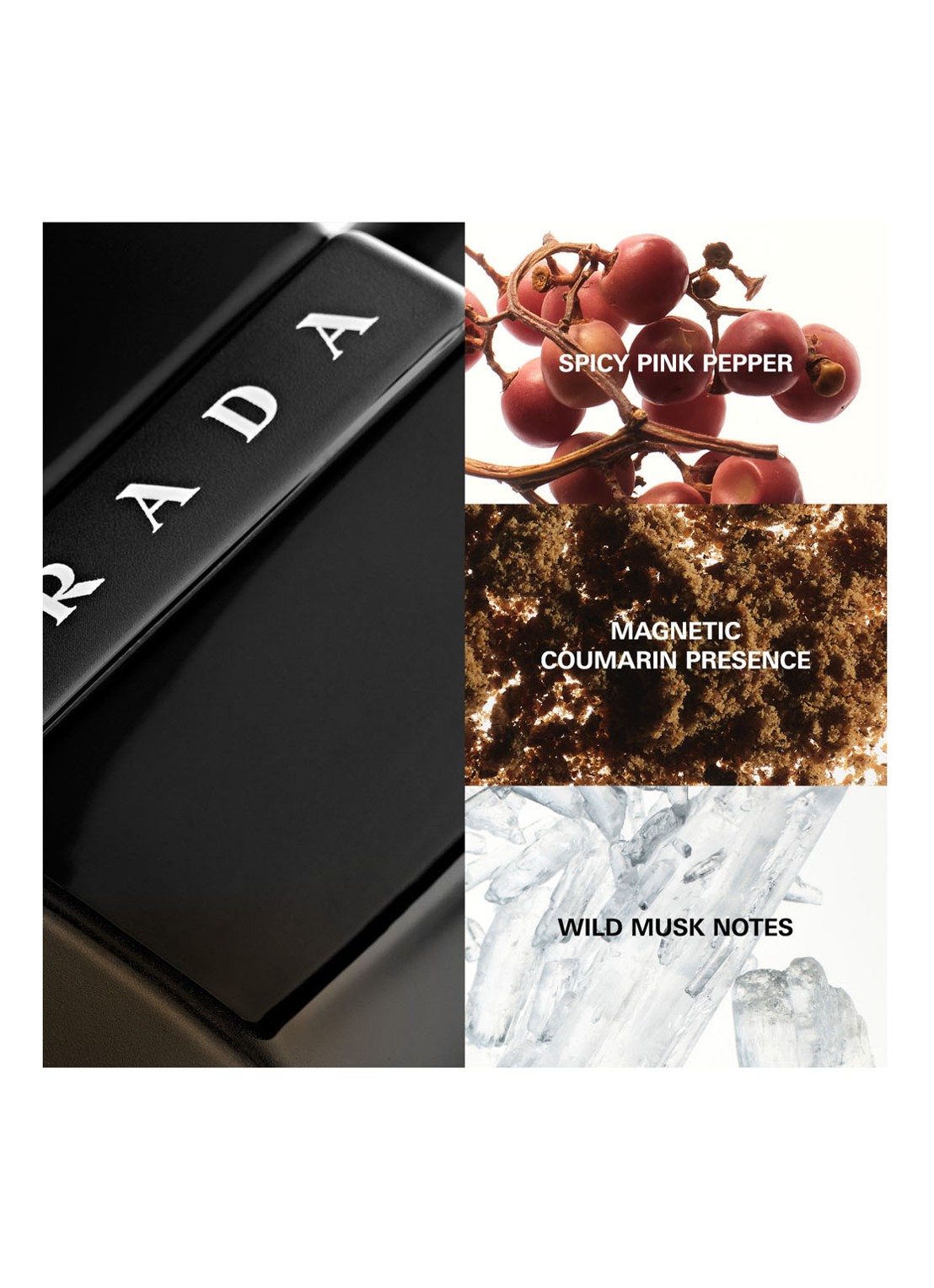 Prada Luna Rossa Black Eau de Parfum - detail 3 undefined