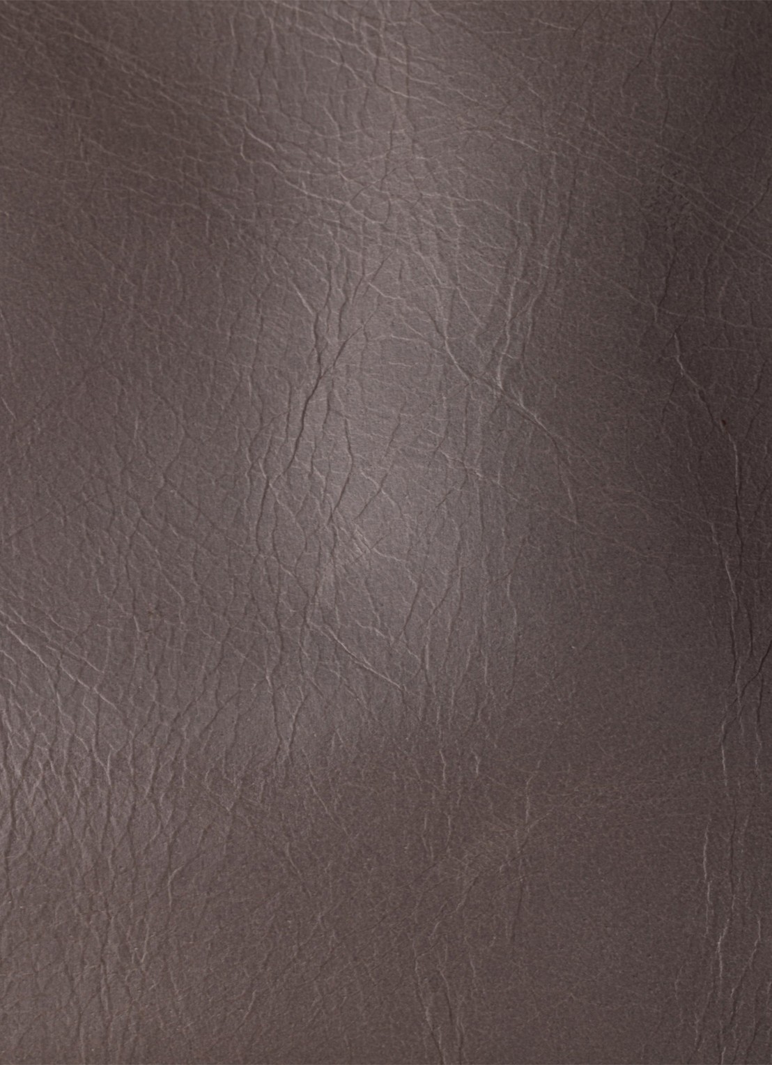 Prada Portemonnee van kalfsleer met logo - detail 2 taupe