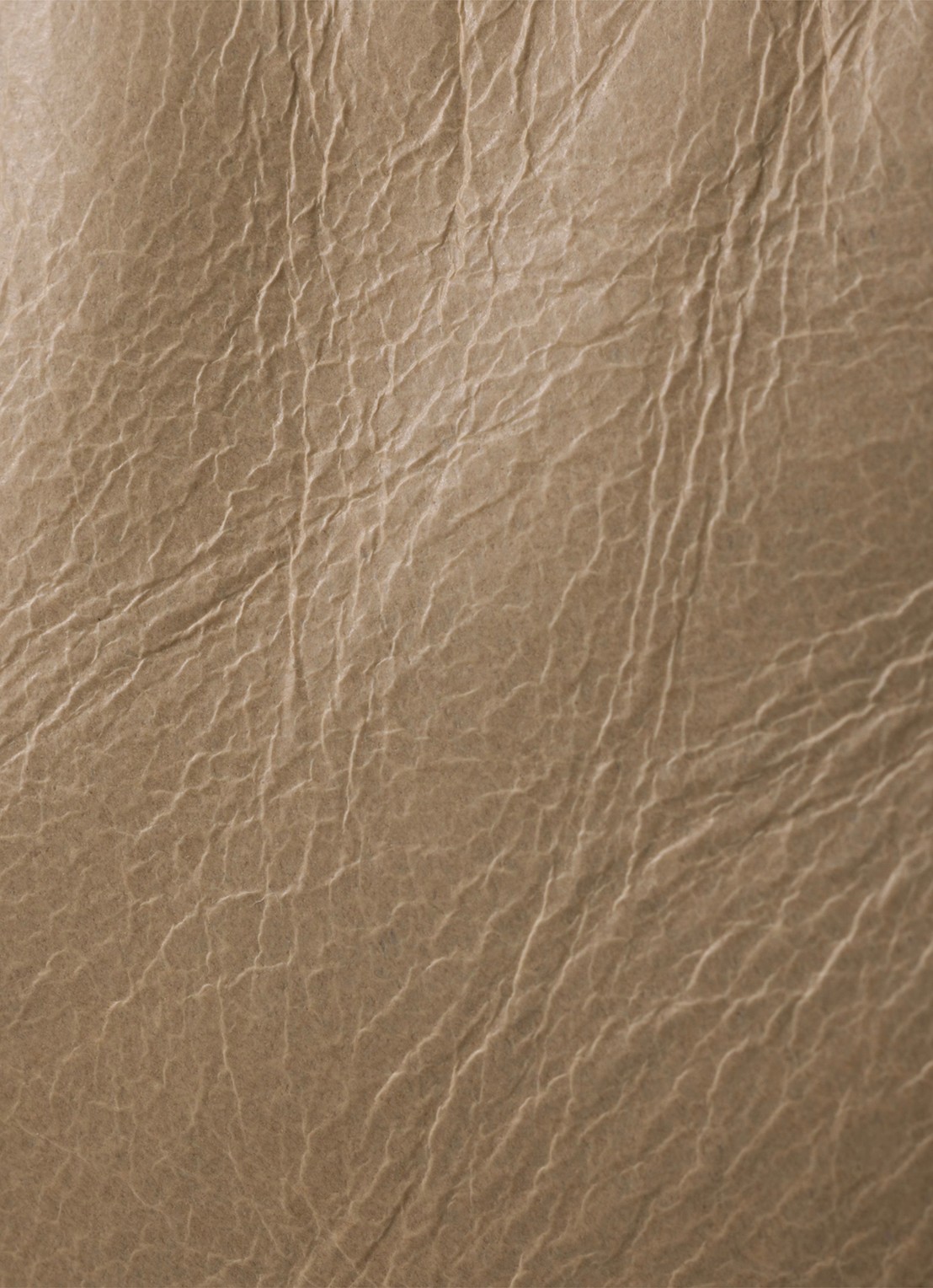Prada Re-Edition 2002 Medium schoudertas van kalfsleer - detail 2 beige