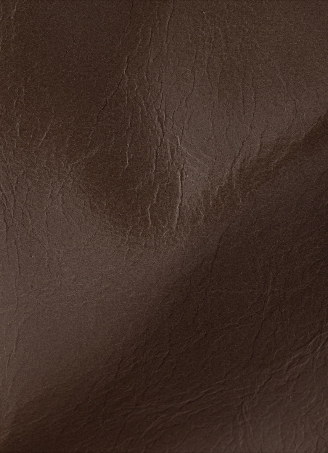 Prada Schoudertas van kalfsleer - detail 4 taupe