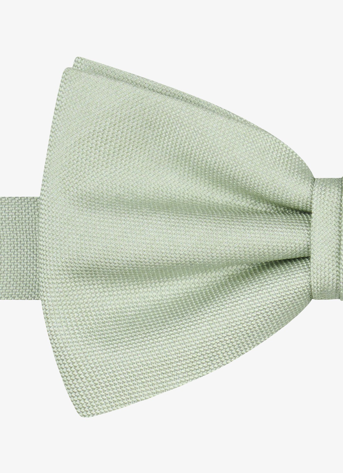 Profuomo Vlinderdas van zijde - detail groen