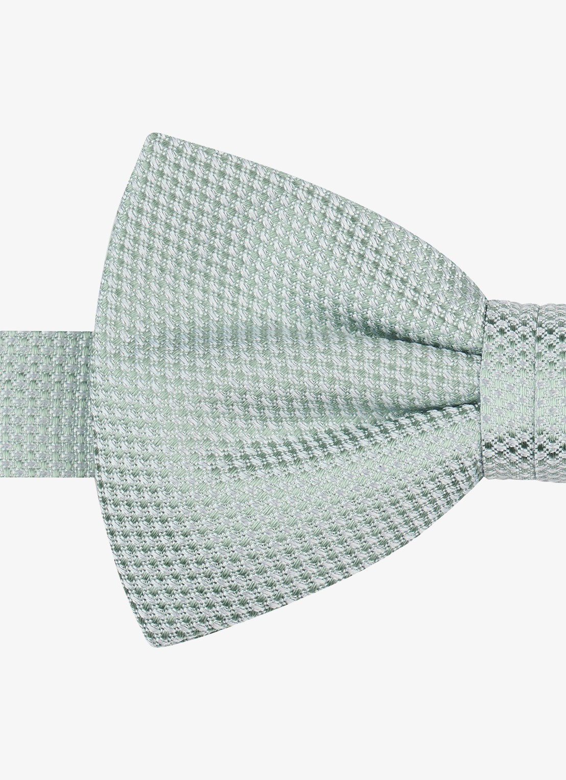 Profuomo Vlinderdas van zijde - detail groen