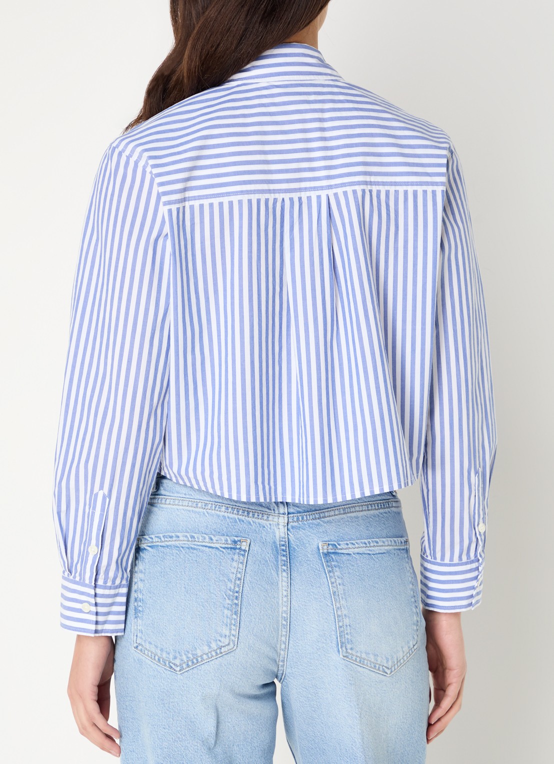 Rails Ramy cropped blouse met streepprint - achterkant lichtblauw