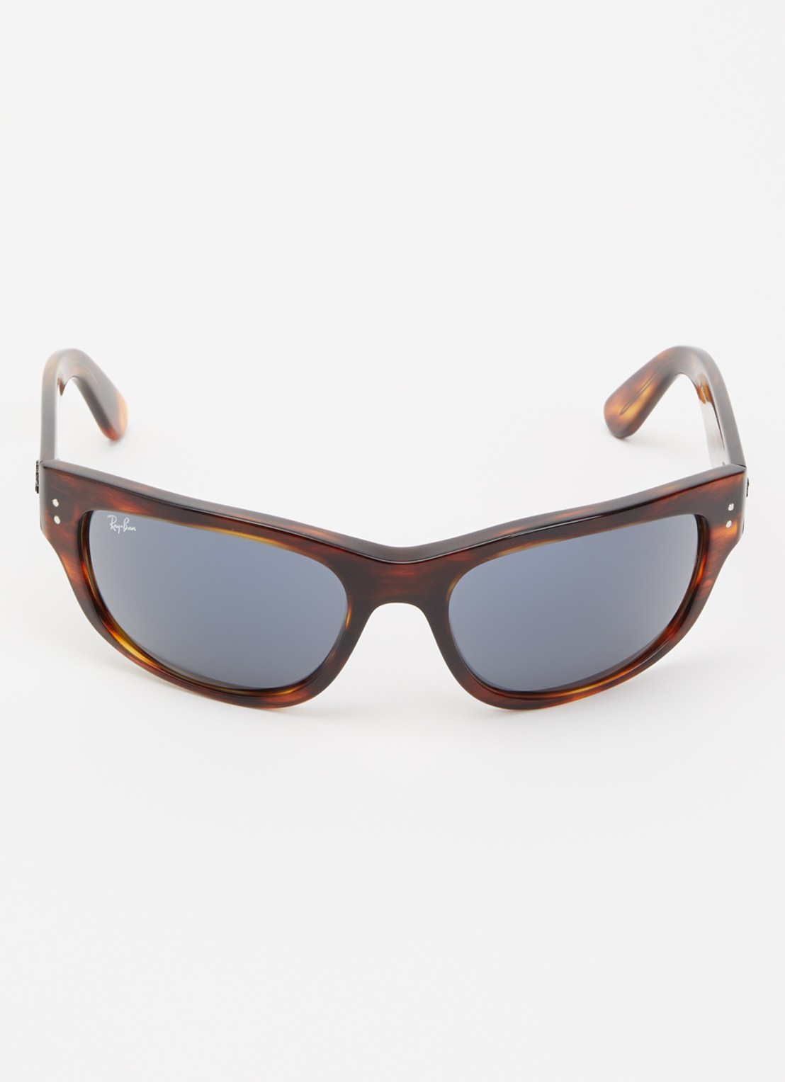 Ray-Ban Mega Balorama zonnebril RB2289 - detail bruin