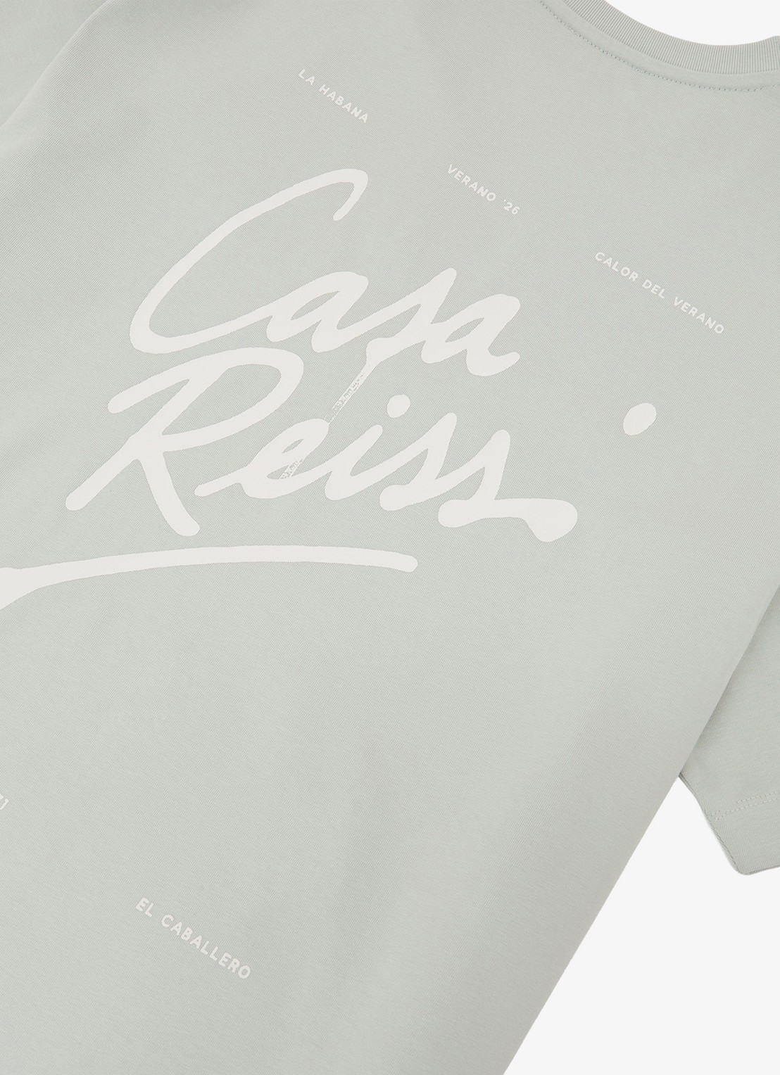 Reiss Casa T-shirt met front- en backprint - detail 2 grijs