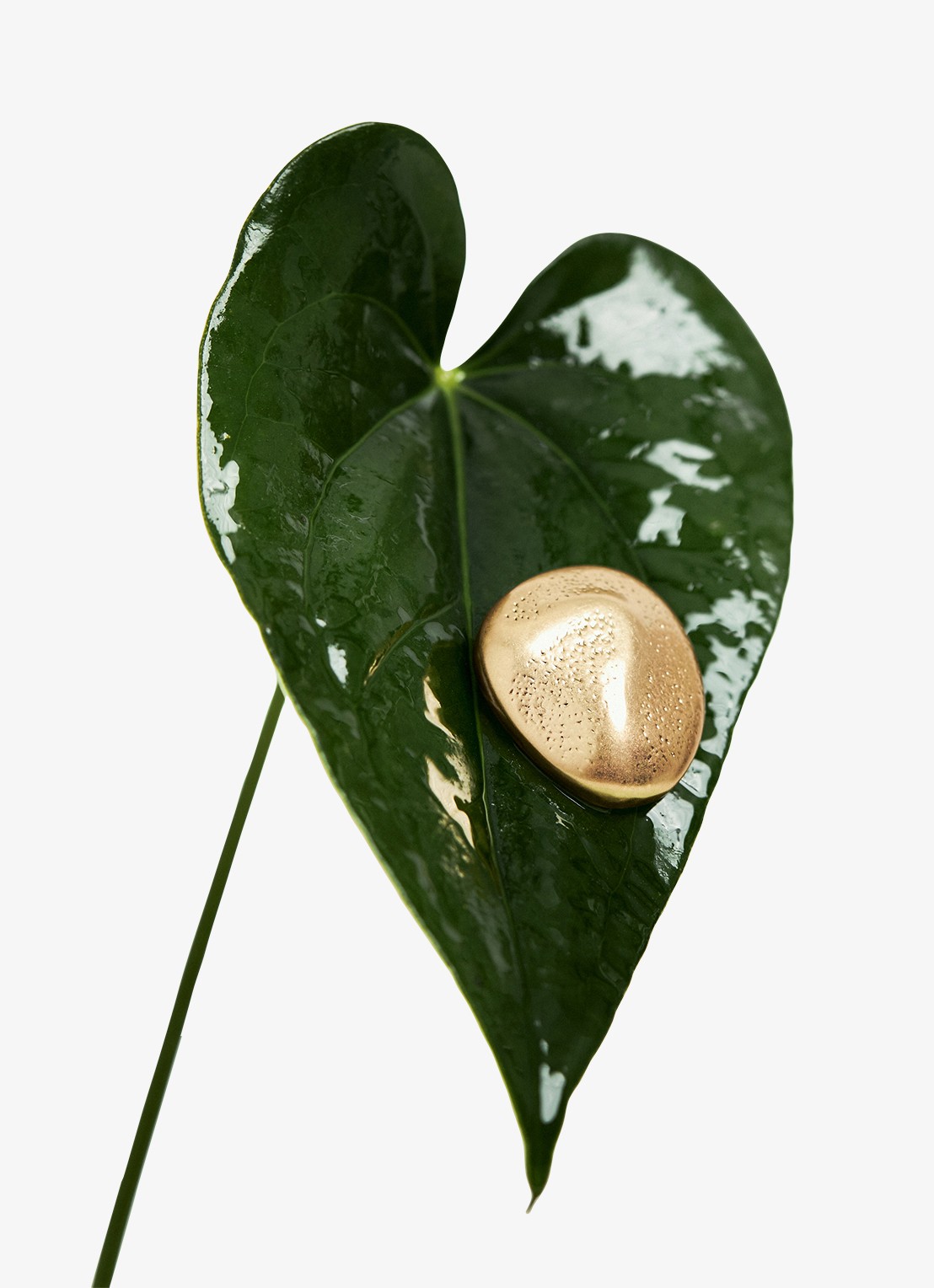 Reiss Pernill oorstekers  - detail 4 goud