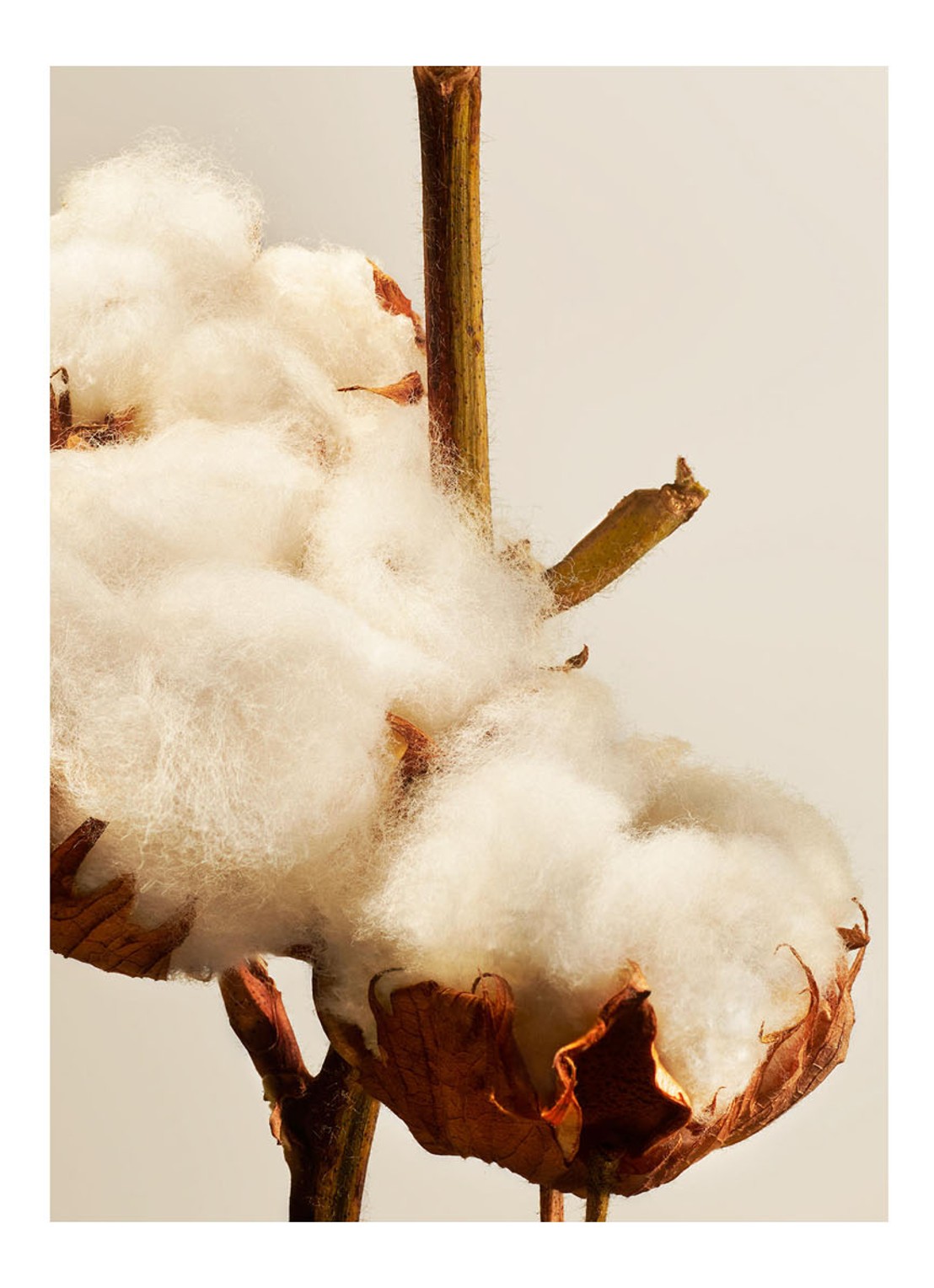 Rituals Cotton Blossom Fragrance Sticks Refill - navulling voor luxe geurstokjes 1000 ml - detail 2 oranjebruin
