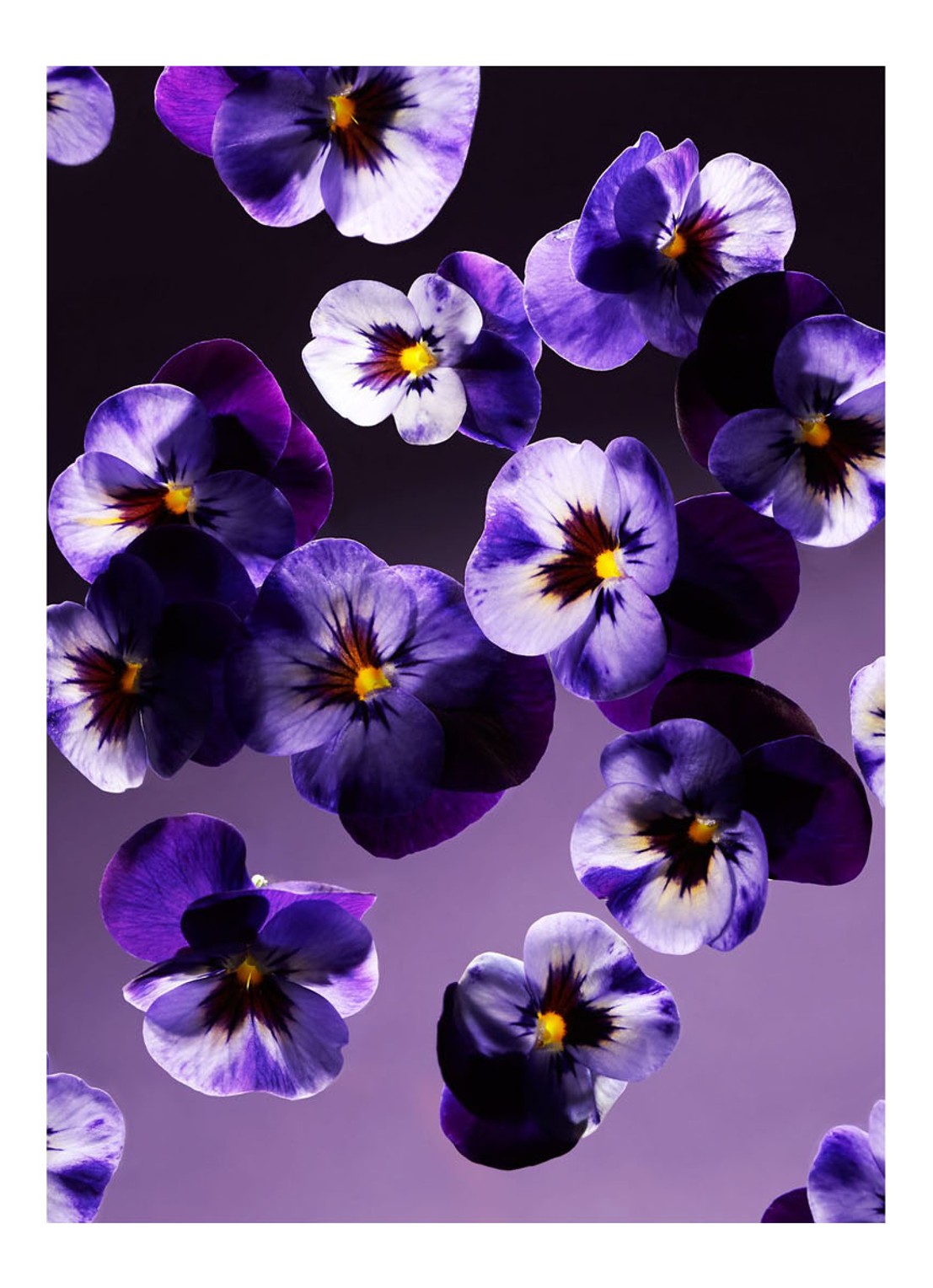 Rituals Smooth Violet Fragrance Sticks - geurstokjes - detail 3 undefined