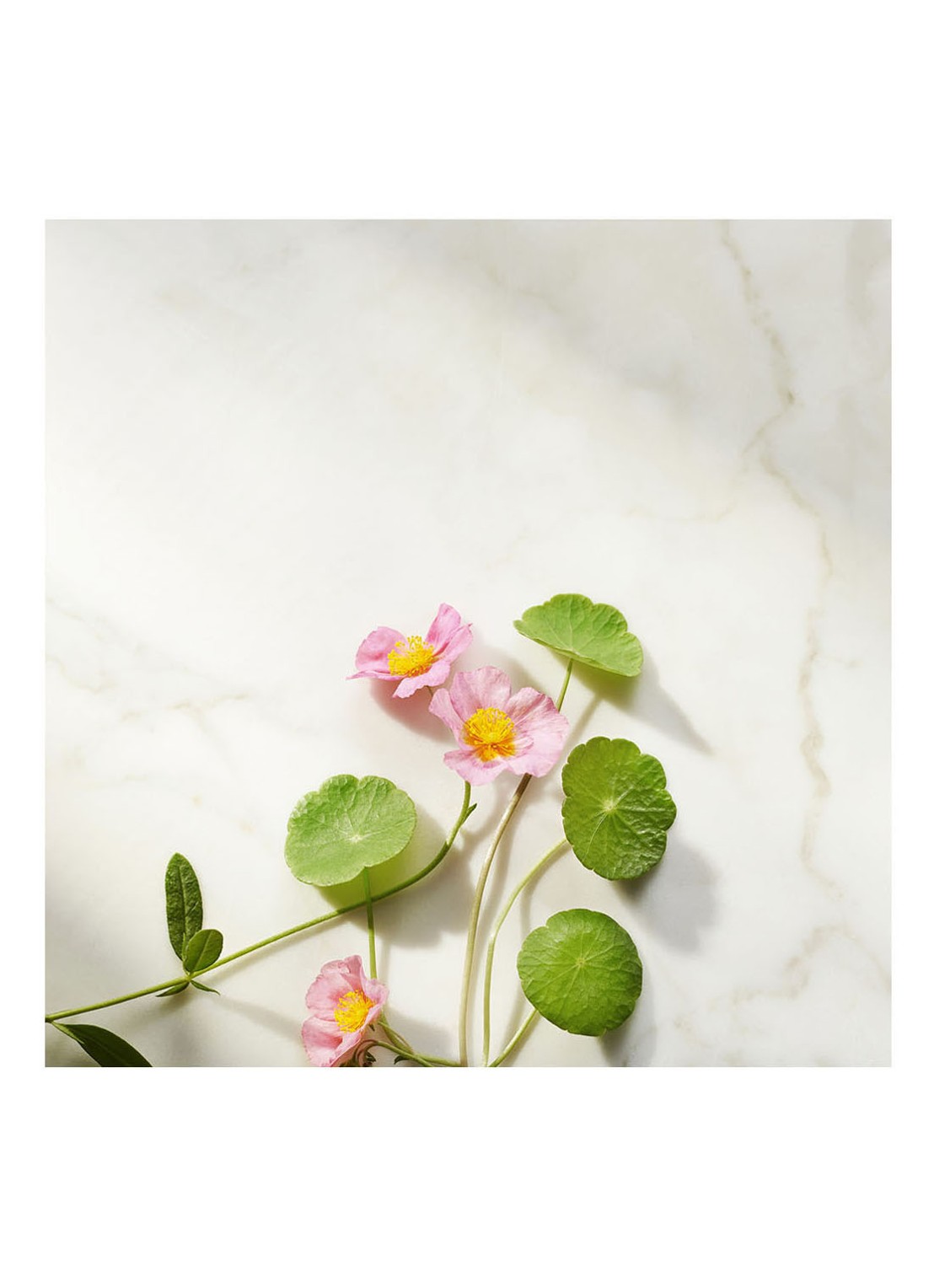 Rituals The Ritual of Namaste Firming Serum - detail 3 undefined