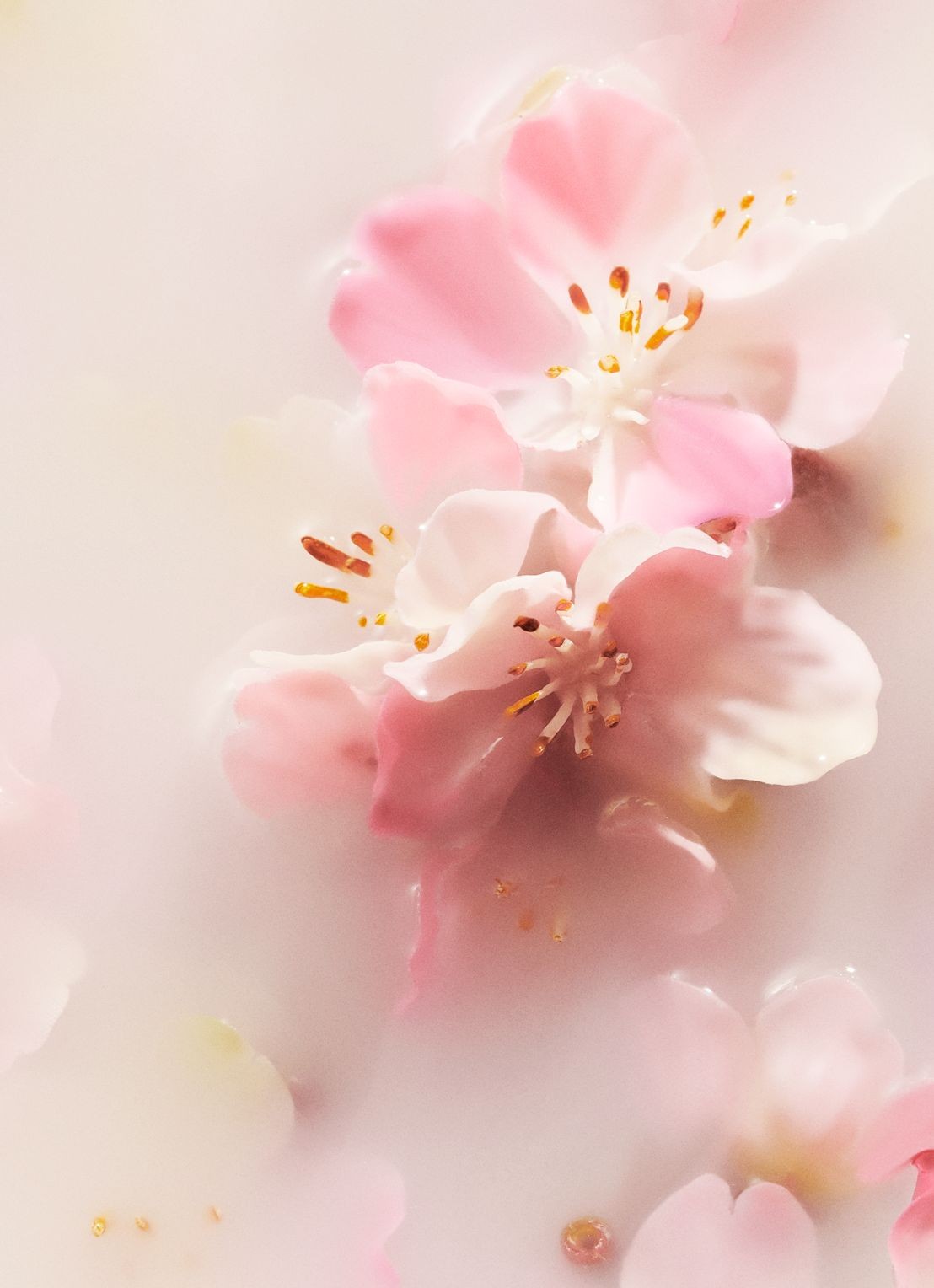 Rituals The Ritual of Sakura Body Lotion Mousse - bodylotion - voorkant 2 undefined