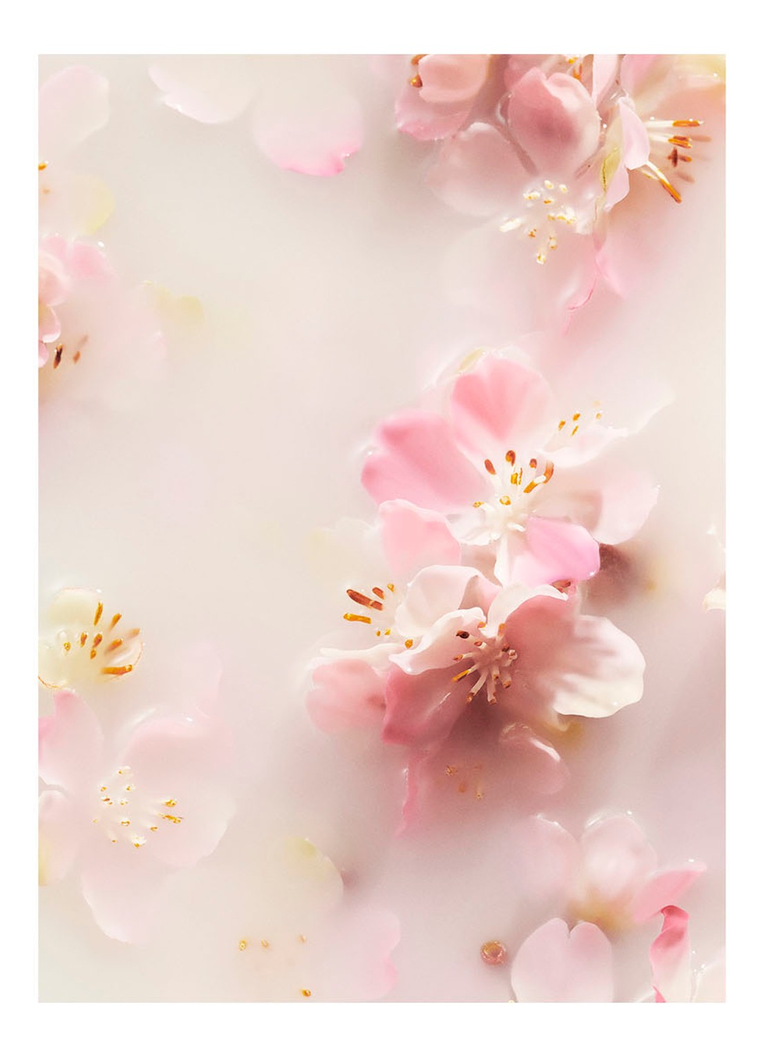 Rituals The Ritual of Sakura Recovery Hand Balm - handcrème - detail 4 undefined